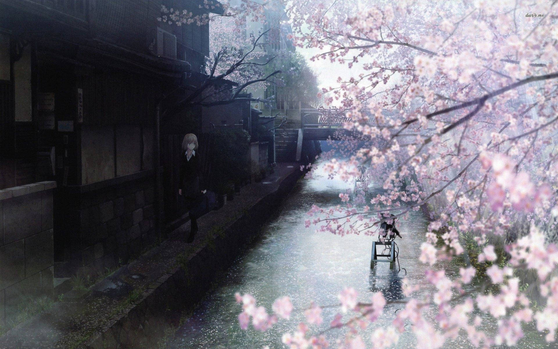 Woman, Cherry blossoms, Canal, Full HD Desktop Wallpaper