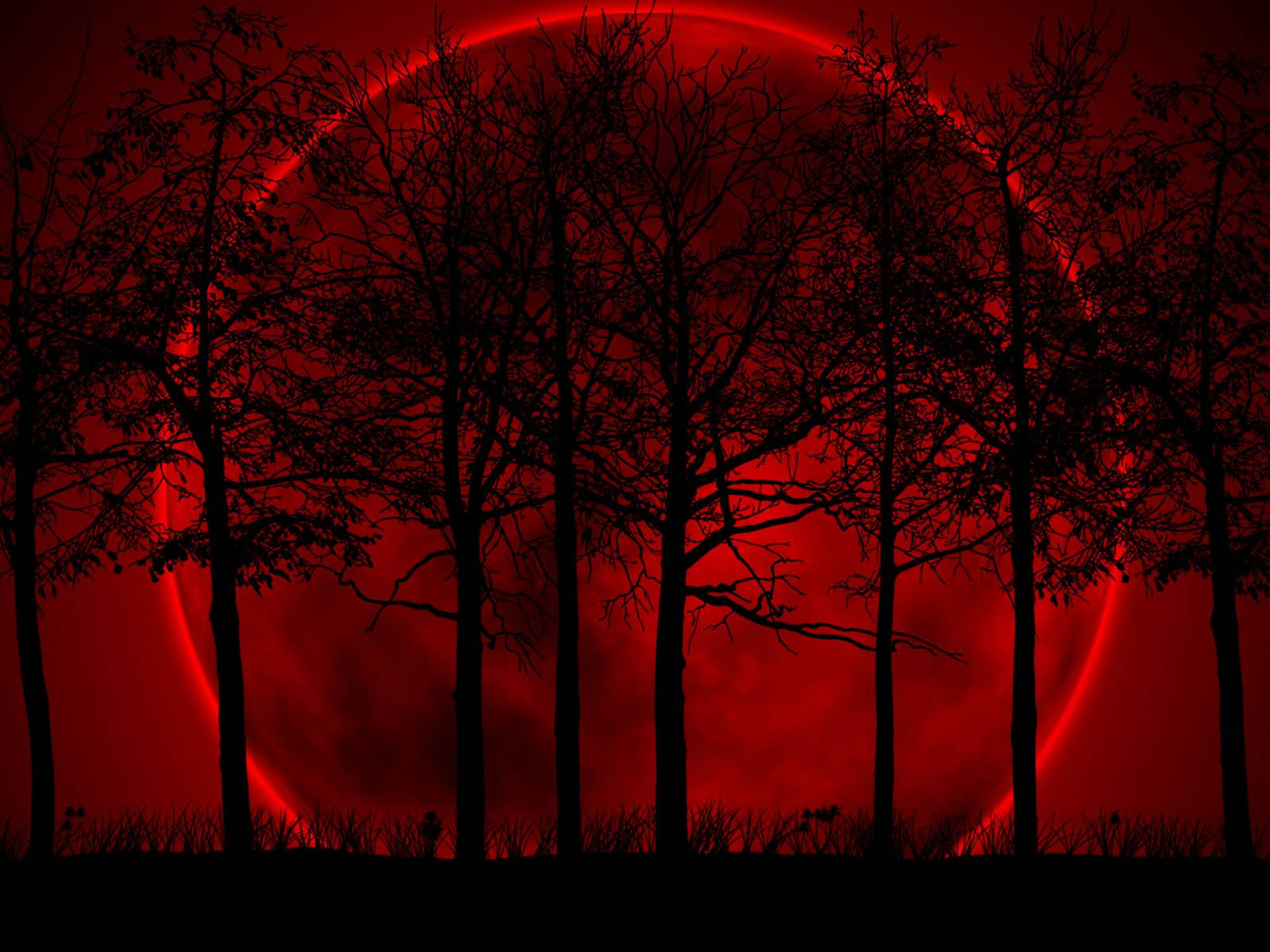 Red Moon, silhouetted trees, glowing red celestial body, HD Desktop Wallpaper