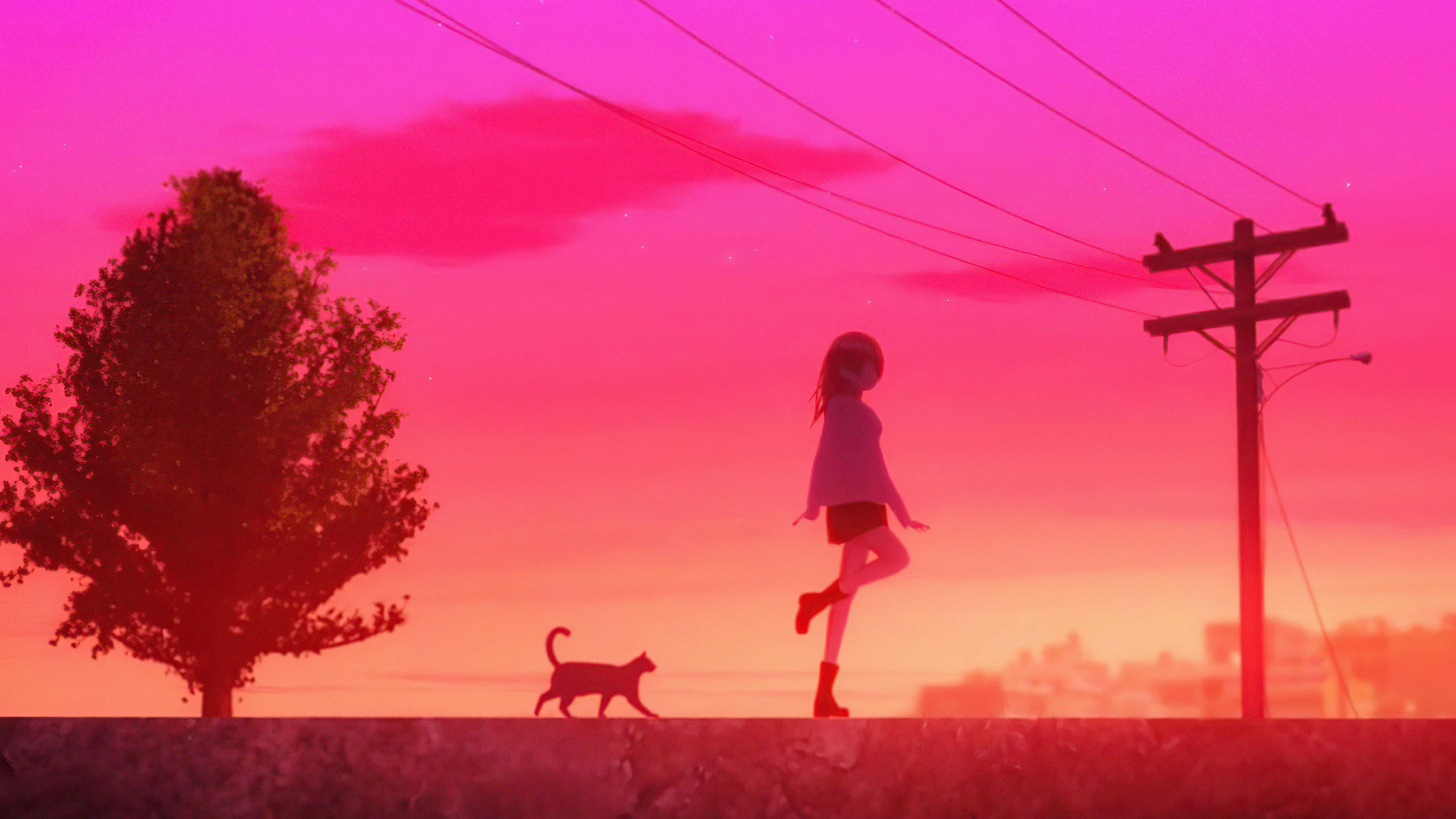 city street, pink sky, sunset, 5K Desktop Wallpaper