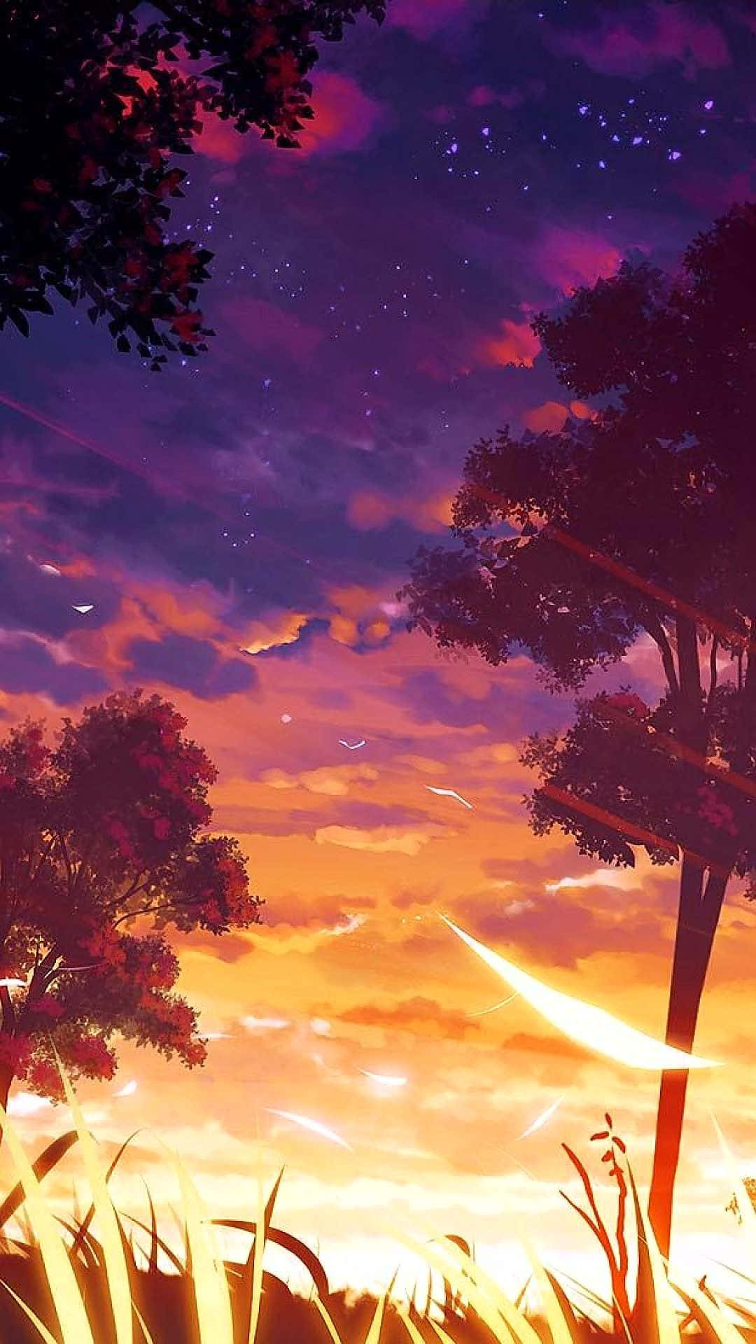 Sunset, Purple and orange skies, Silhouetted trees, Full HD Phone Wallpaper