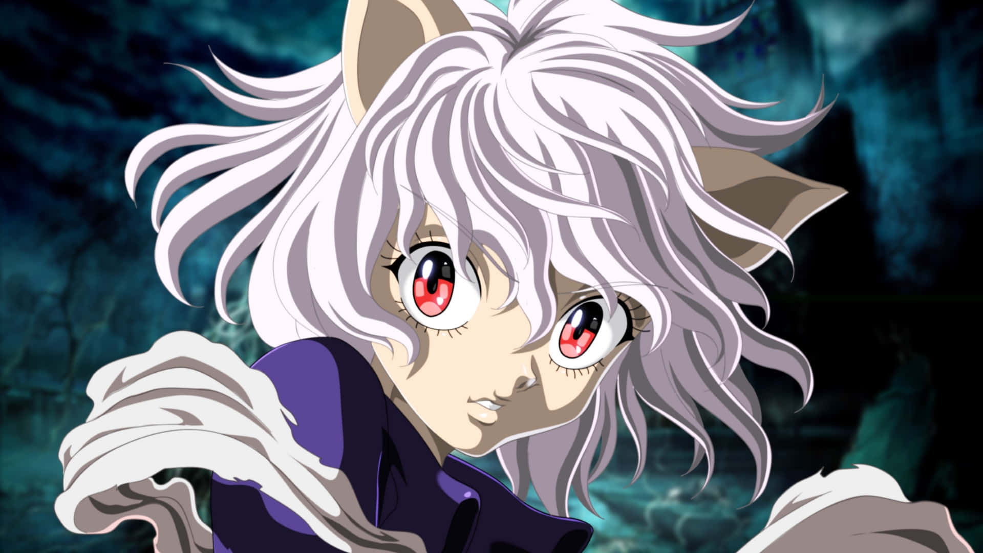 anime villain, white hair, cat ears, Full HD Desktop Wallpaper