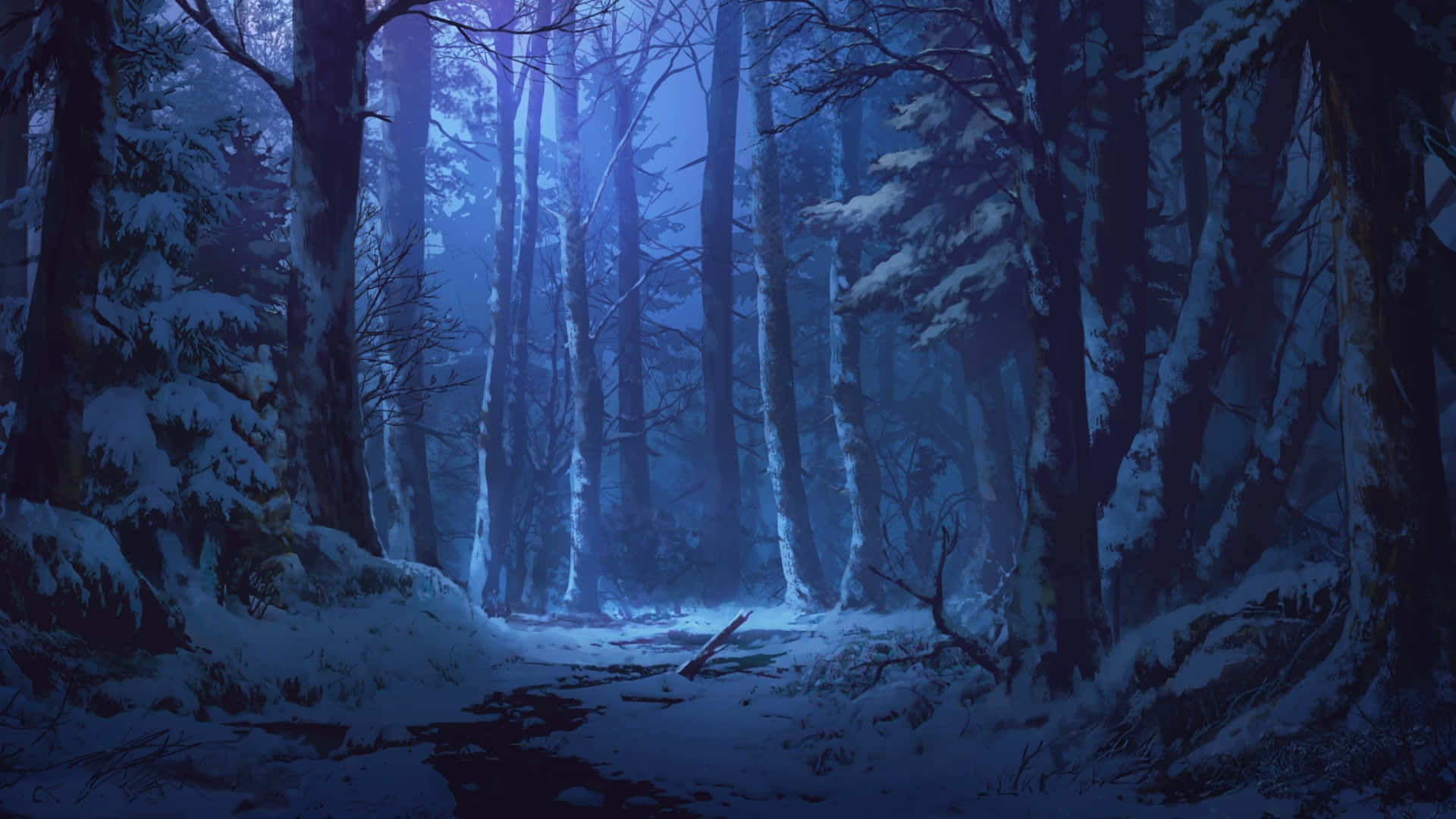 Winter Forest, snowy forest path, towering trees, Full HD Desktop Wallpaper