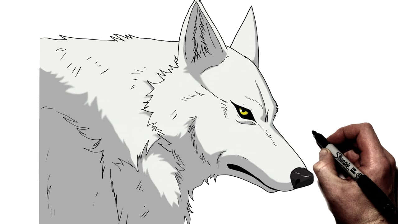 white wolf, piercing yellow eyes, black marker, HD Desktop Wallpaper
