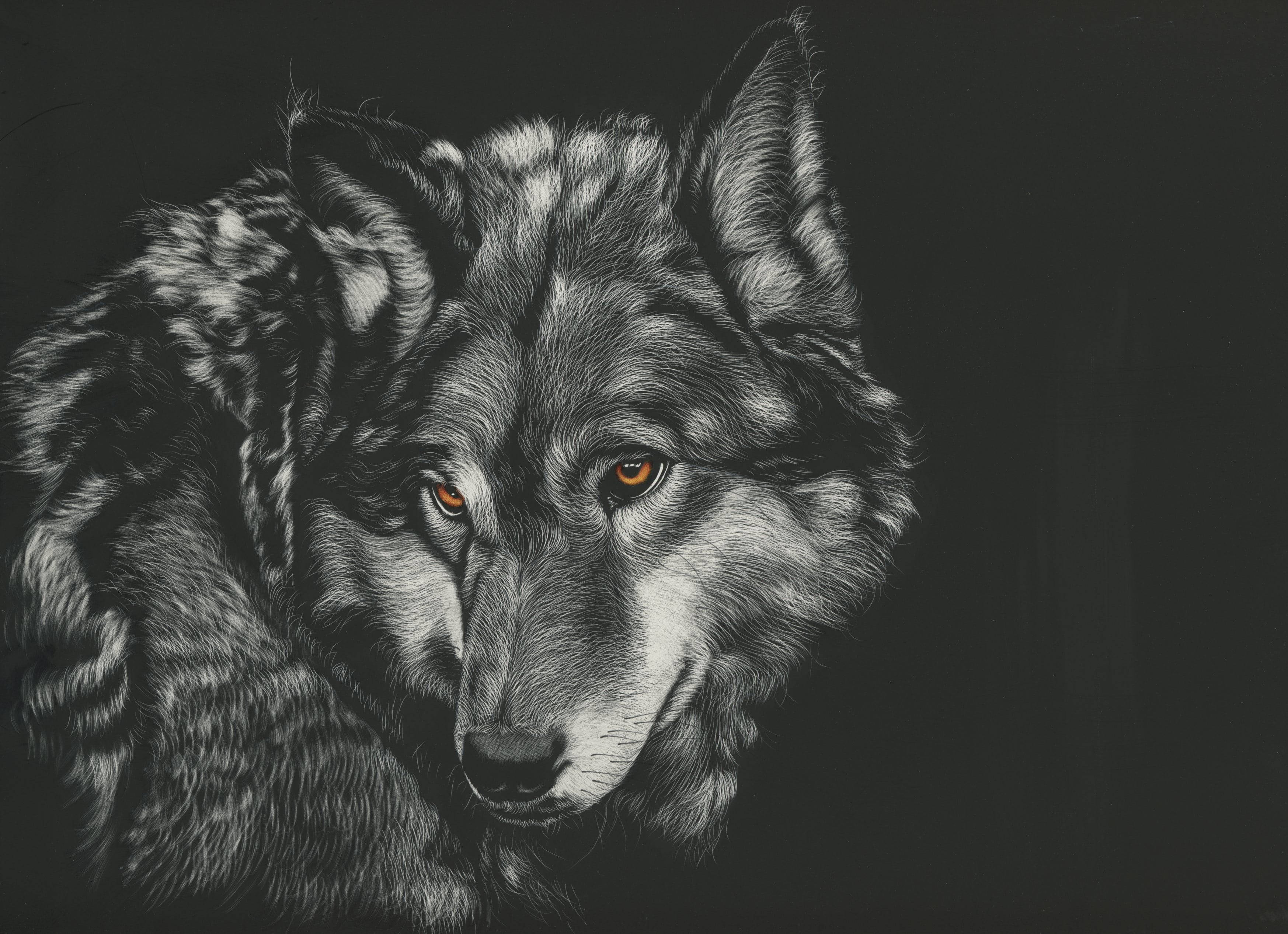 anime wolf, gray aesthetic, amber eyes, 2K Desktop Wallpaper
