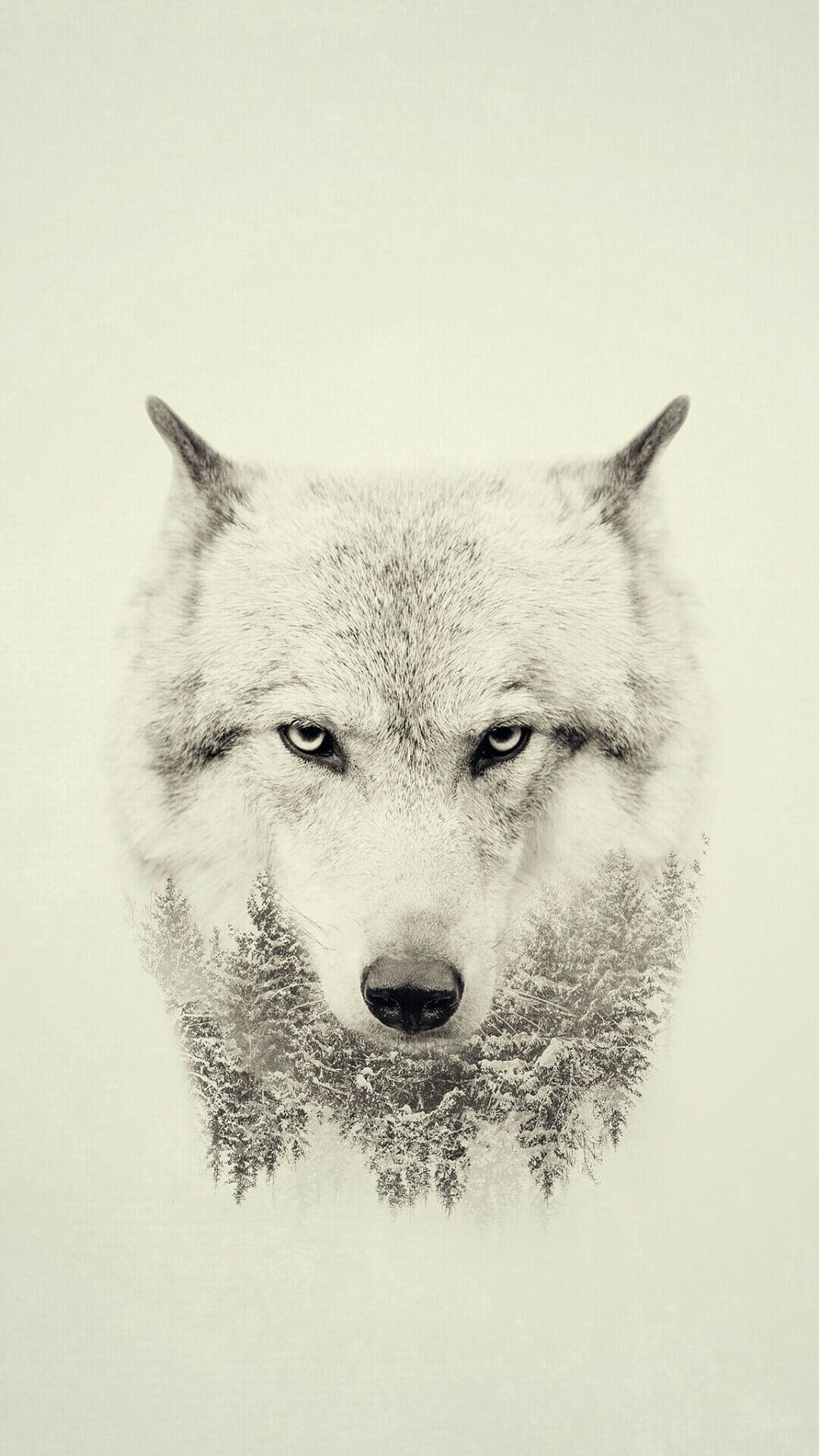 Anime wolf, white aesthetic, monochrome portrait, Full HD Phone Wallpaper