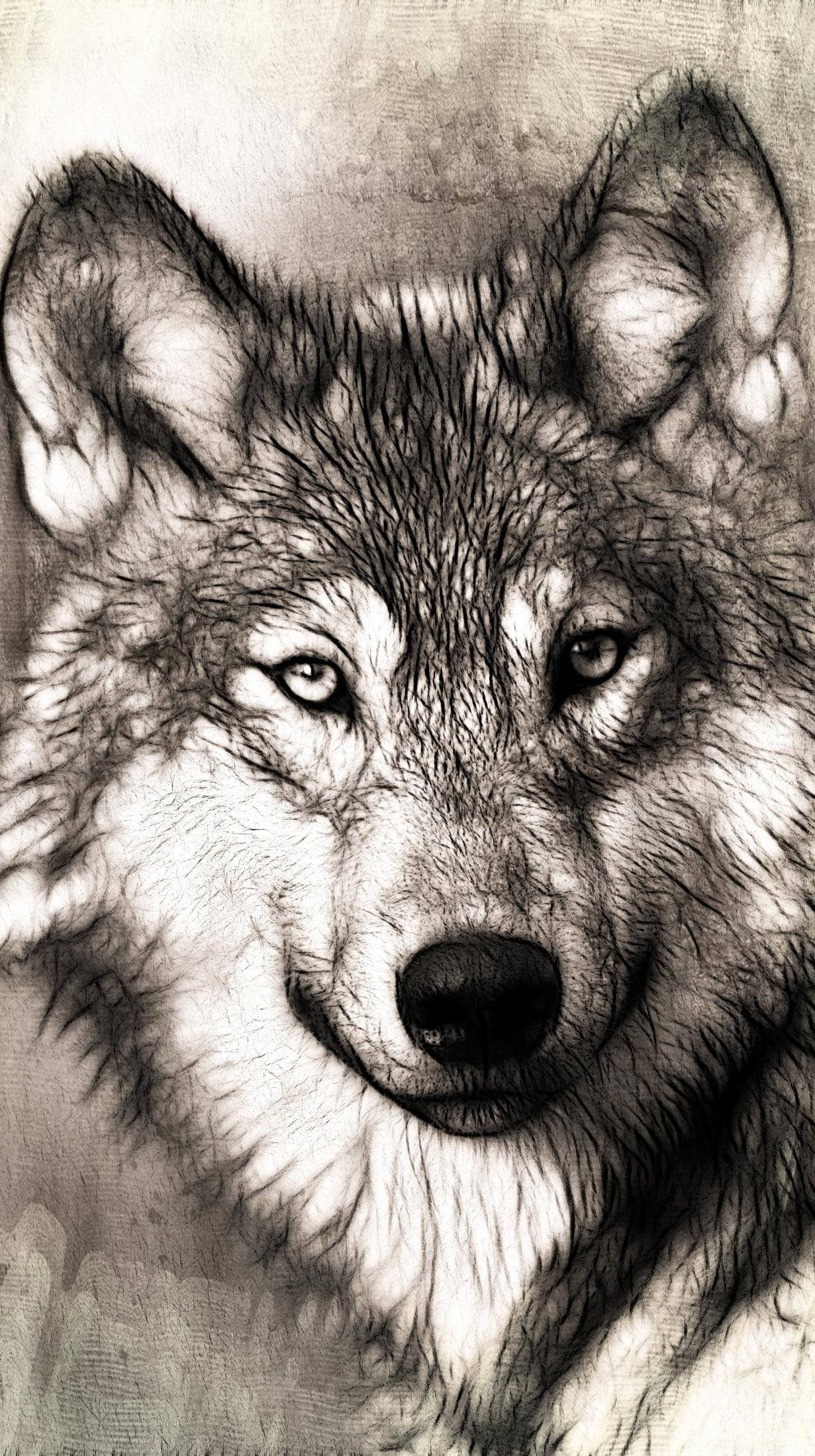 anime wolf, gray and white, monochrome illustration, Full HD Phone Wallpaper