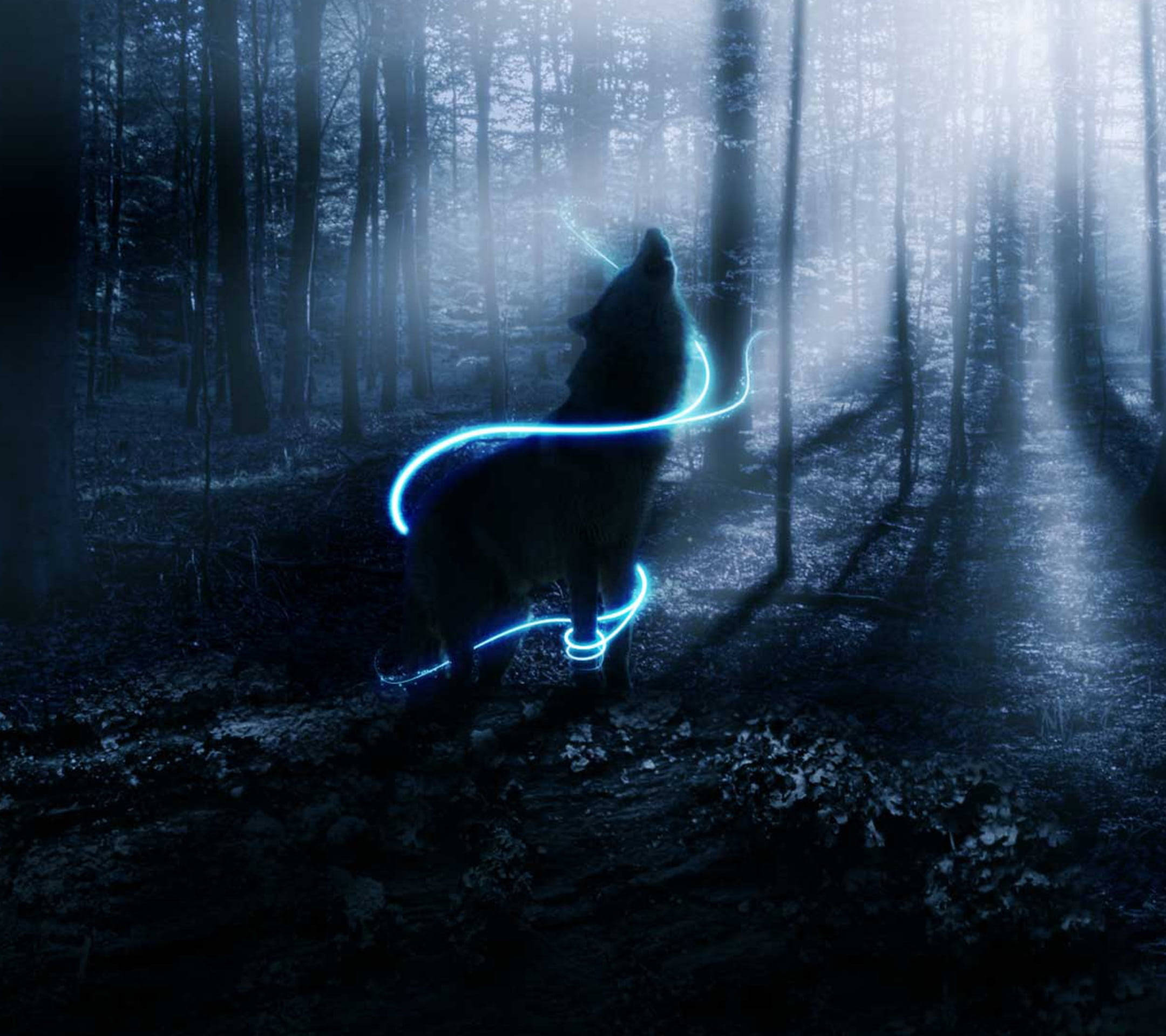 anime wolf, neon blue light, tendrils, Full HD Desktop Wallpaper