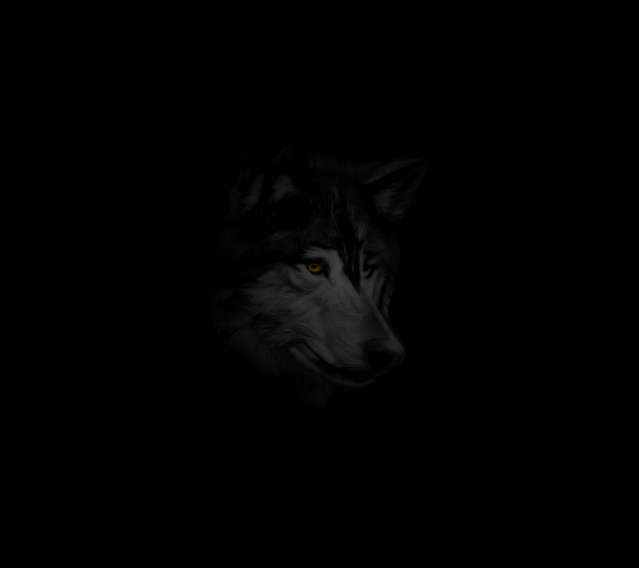 Anime wolf, glowing amber eyes, darkness, Full HD Desktop Wallpaper