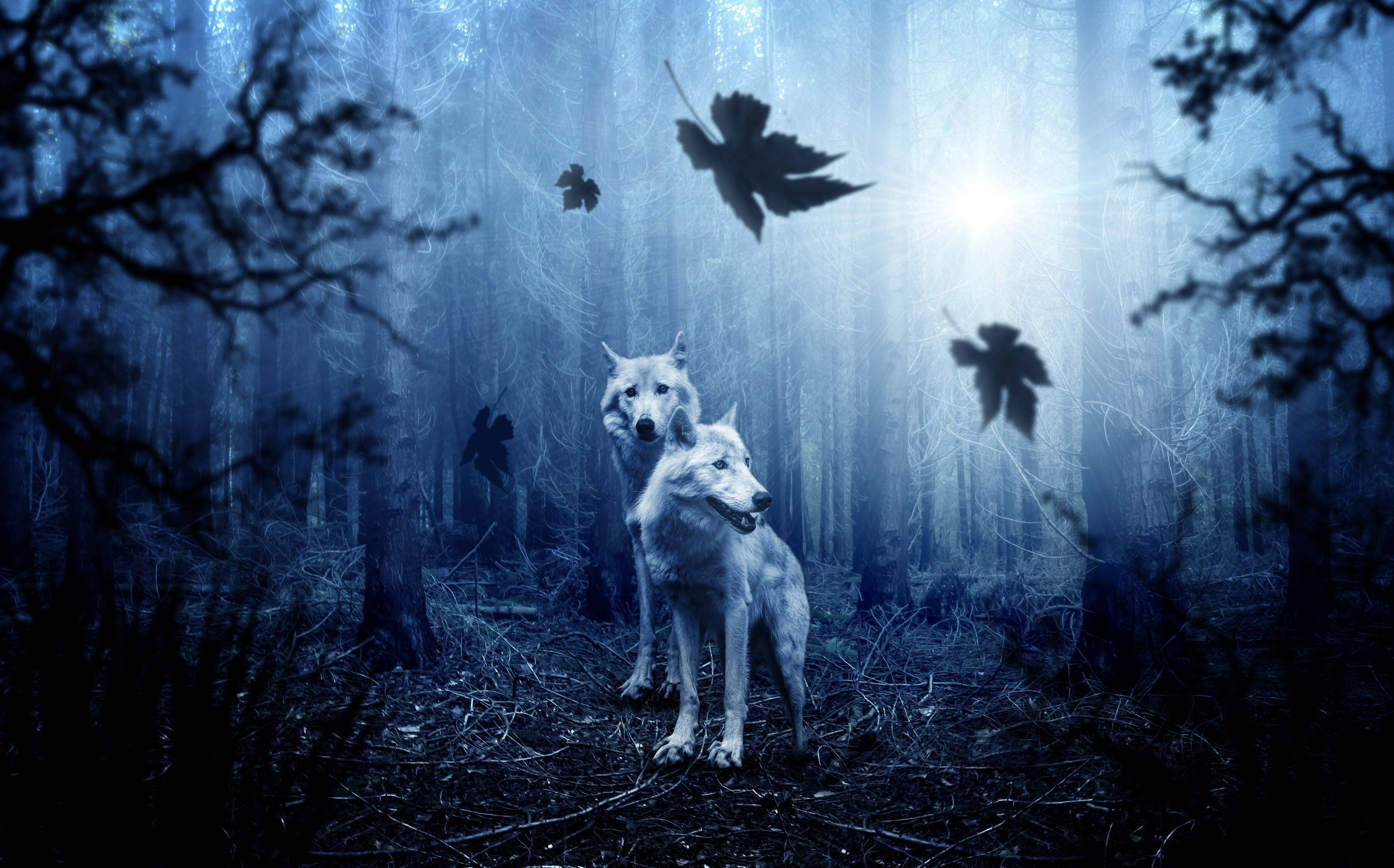 anime wolf, spooky forest, misty blue forest, 4K Desktop Wallpaper
