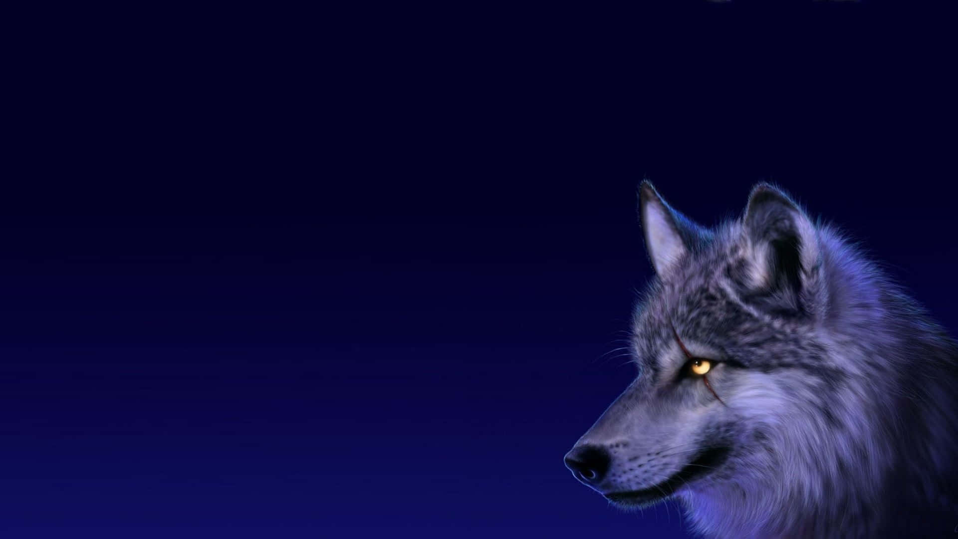 anime wolf, glowing amber eyes, deep blue night sky, Full HD Desktop Wallpaper
