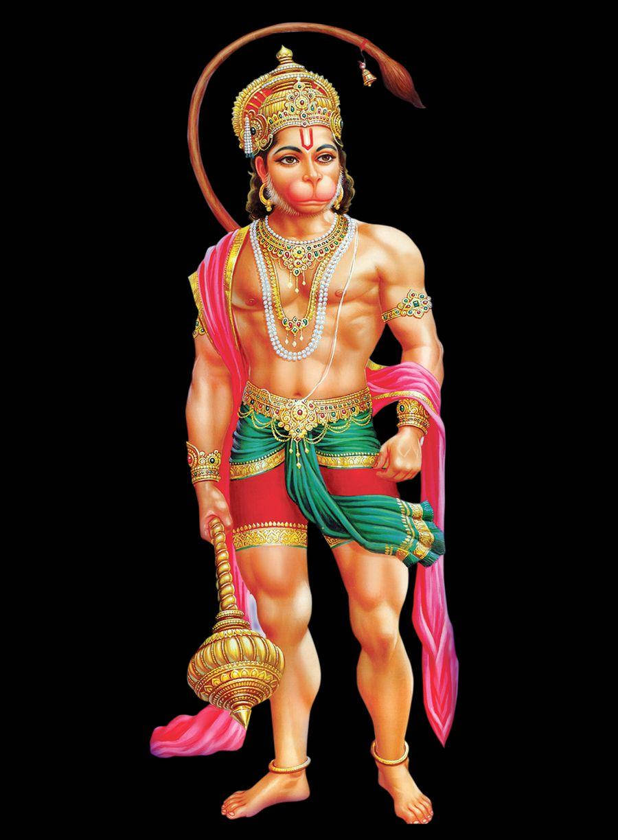 Anjaneya, gold jewelry, vibrant pink green garments, SD Phone Wallpaper