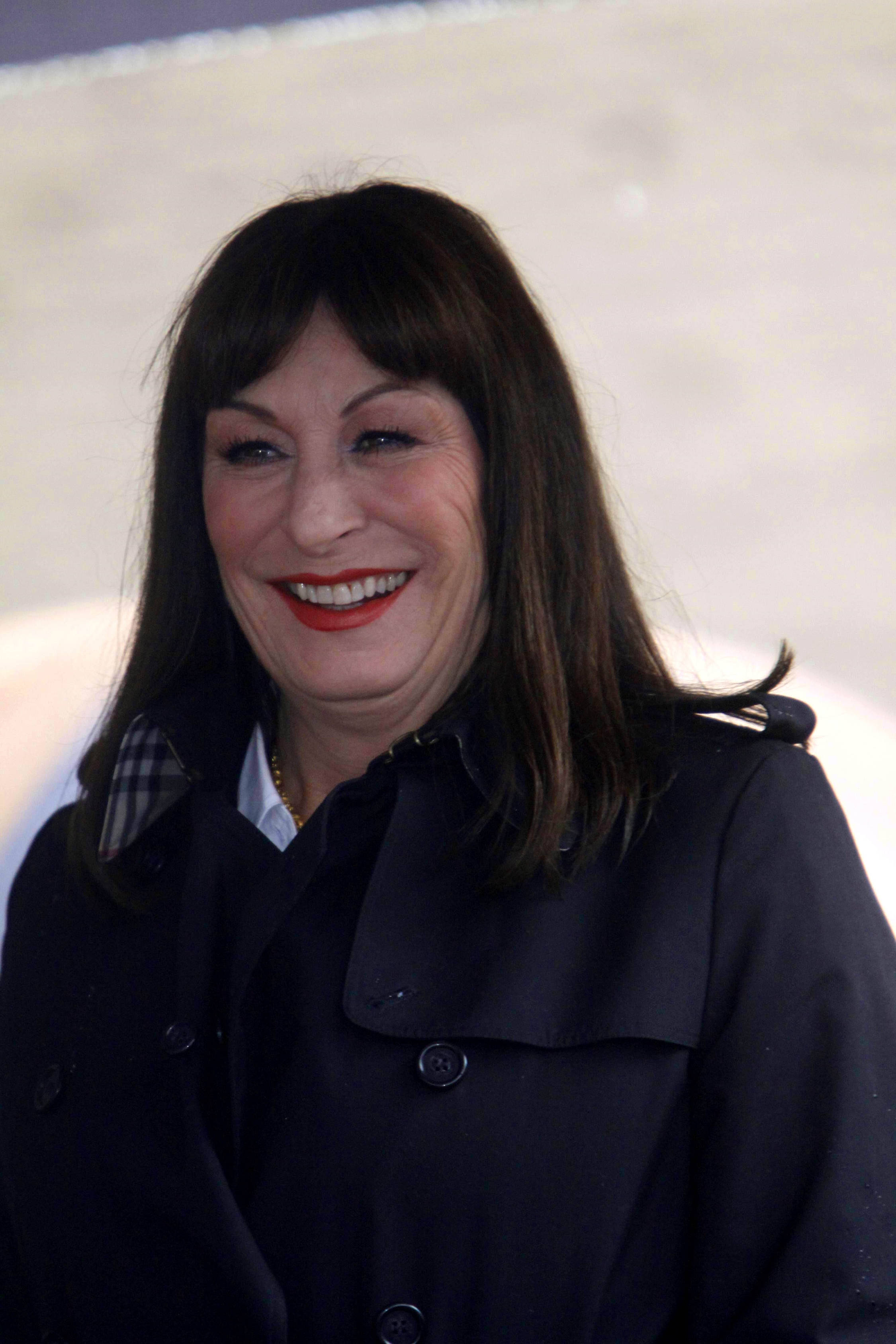 Anjelica Huston, American veteran actress, dark hair, 2K Phone Wallpaper
