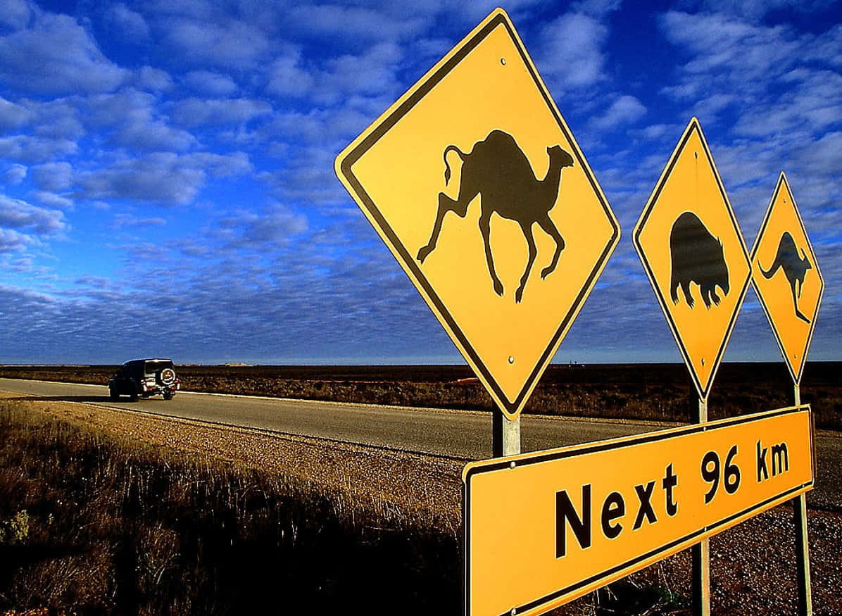 Animal Crossing, yellow signage, camels, SD Desktop Wallpaper
