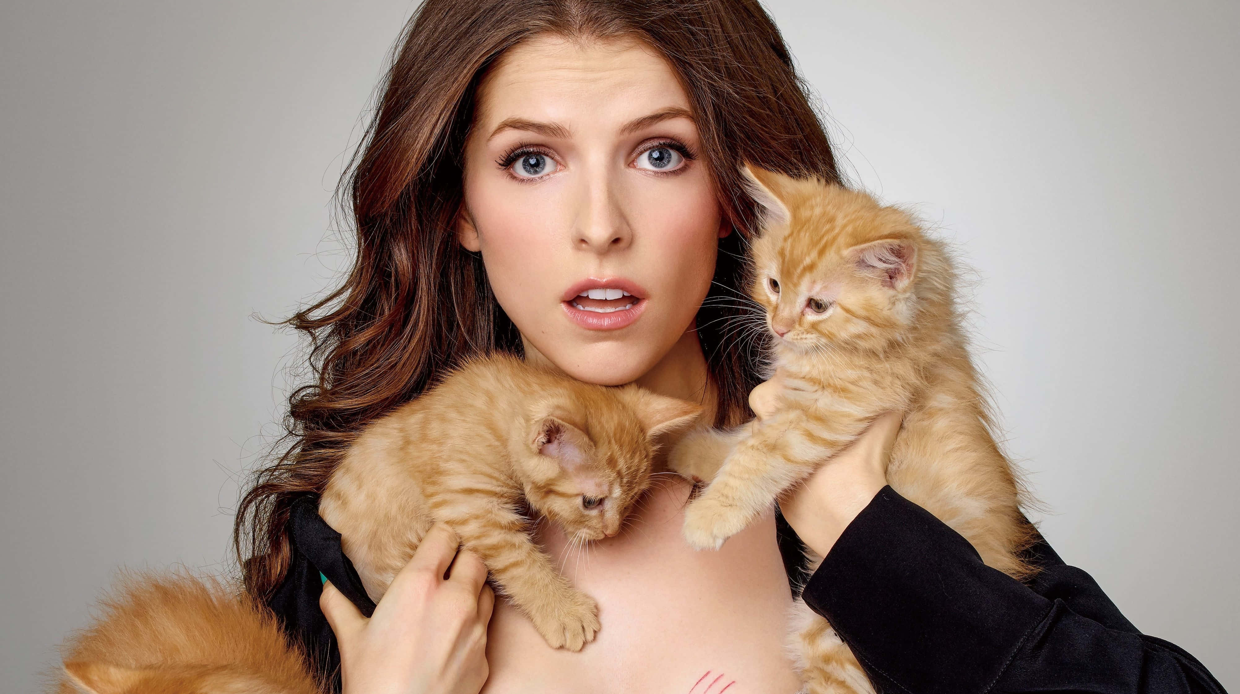 Anna Kendrick, fluffy orange kittens, plain gray background, 4K Desktop Wallpaper