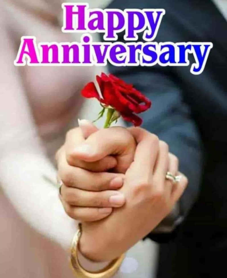 Anniversary, red rose, Happy Anniversary, SD Phone Wallpaper