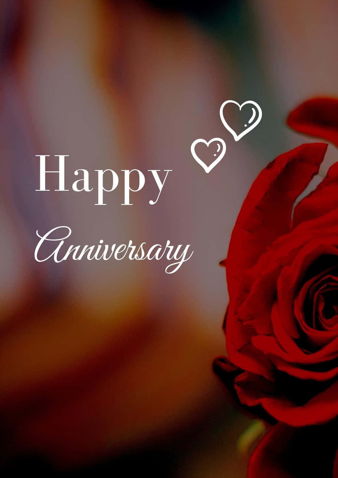 Anniversary, elegant red rose, Happy Anniversary, HD Phone Wallpaper