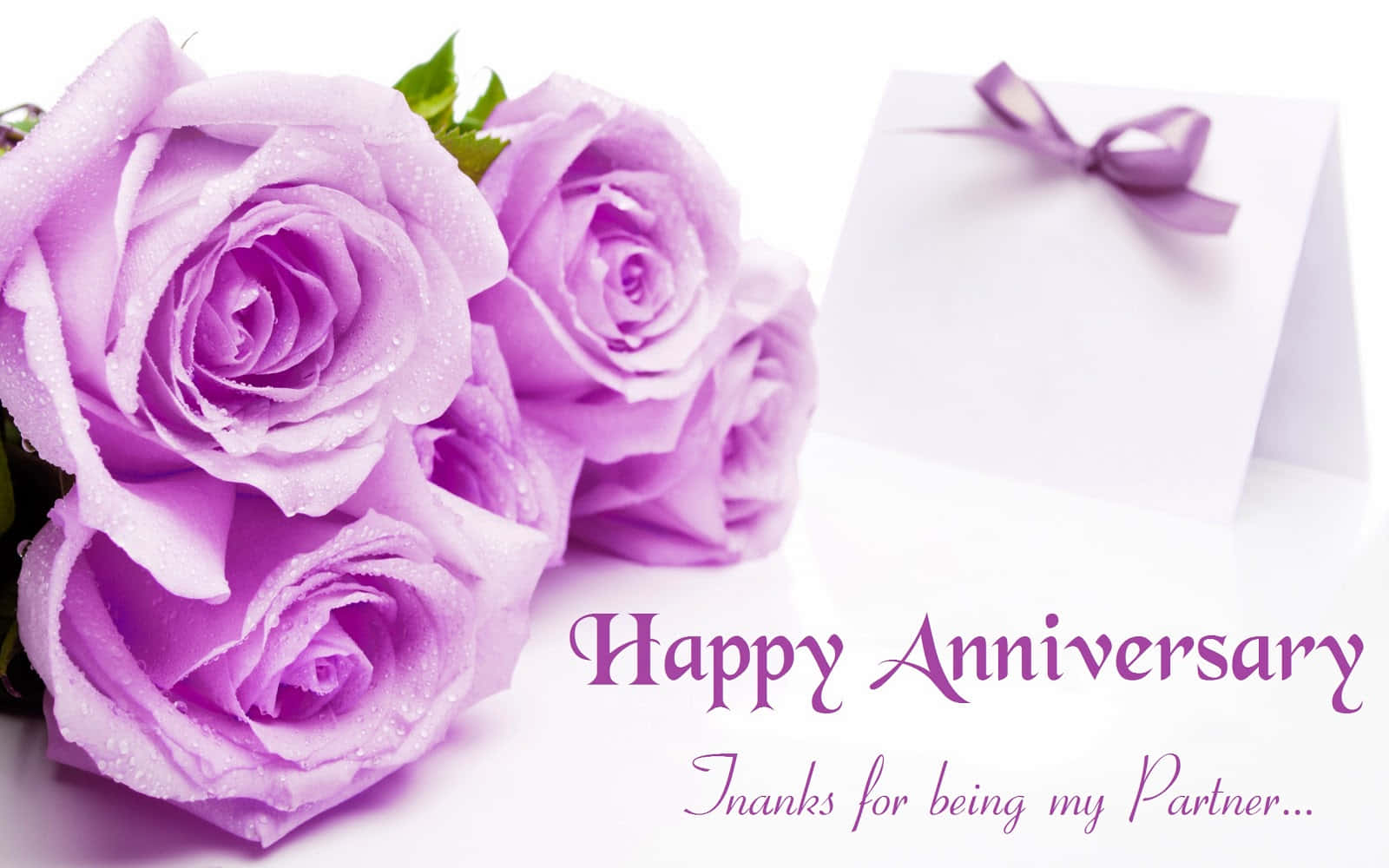 violet rose flowers, lavender roses, white card, HD Desktop Wallpaper