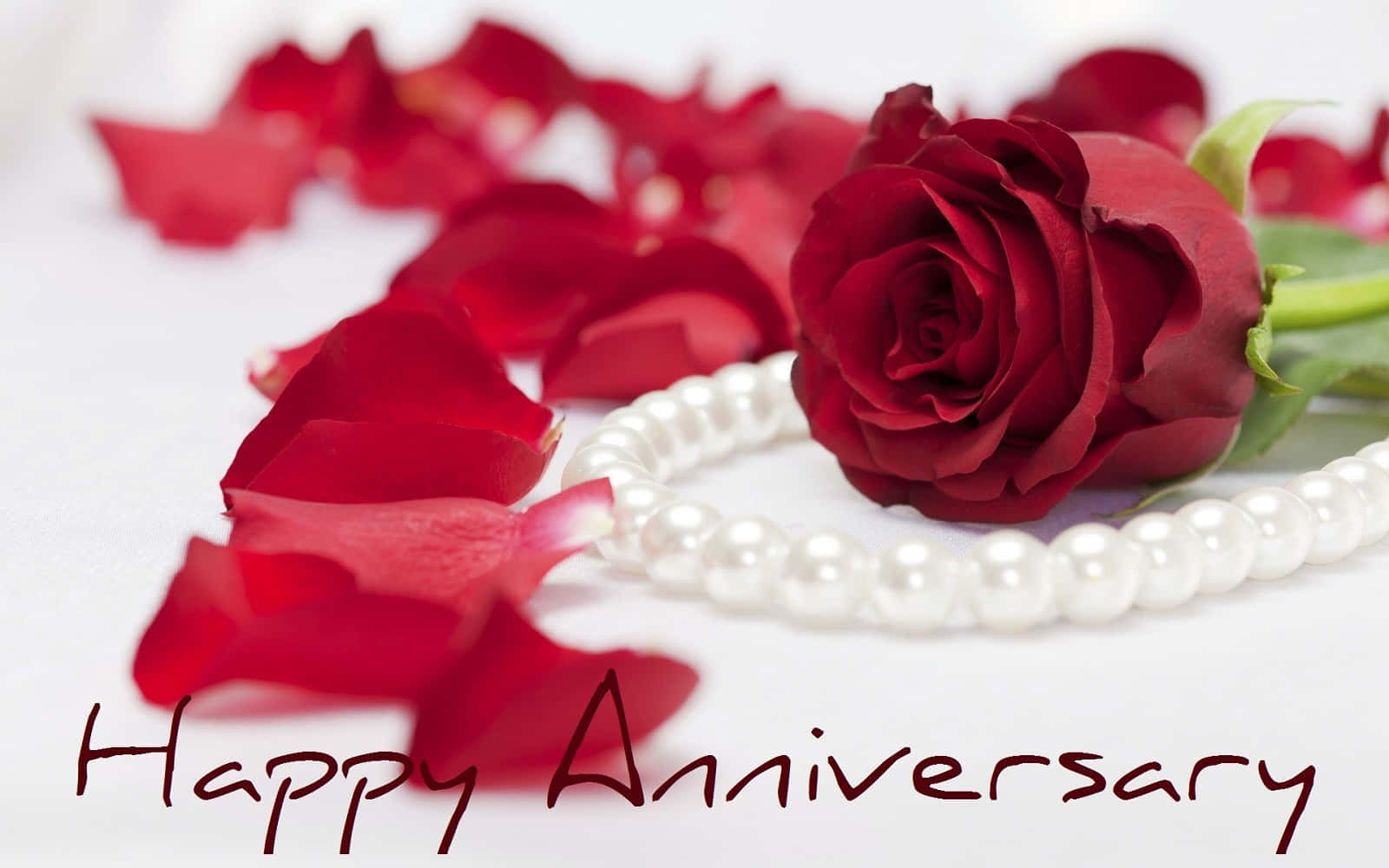pearl necklace, red rose, white, HD Desktop Wallpaper