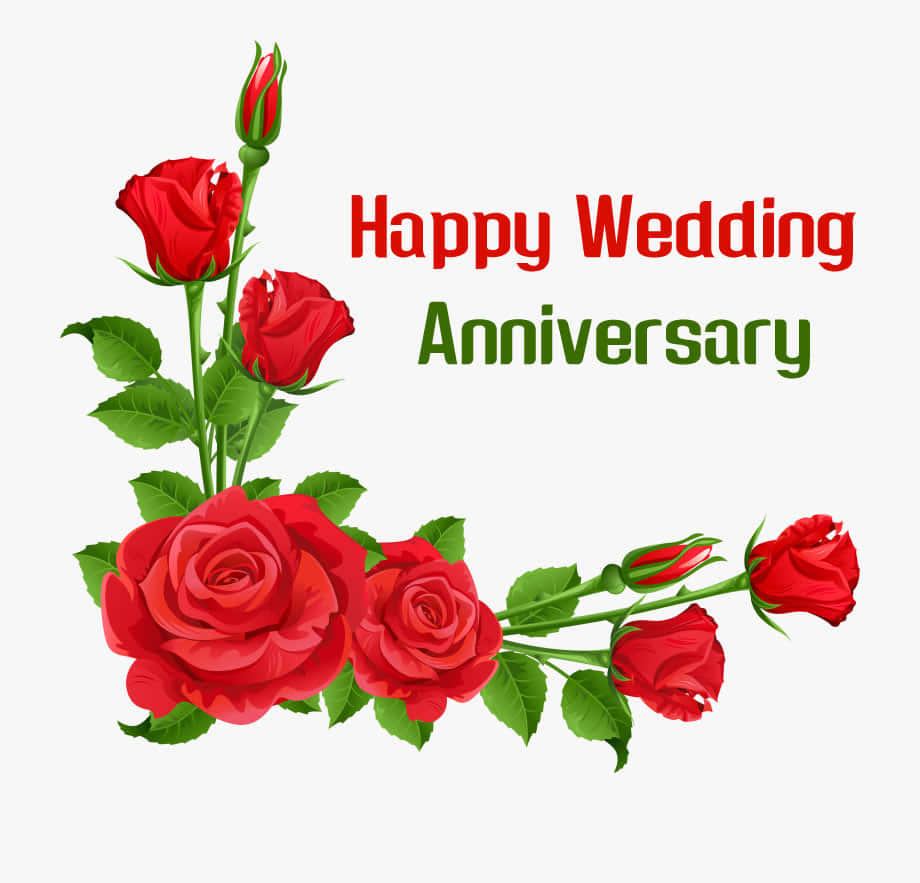Anniversary, red roses, green leaves, SD Desktop Wallpaper