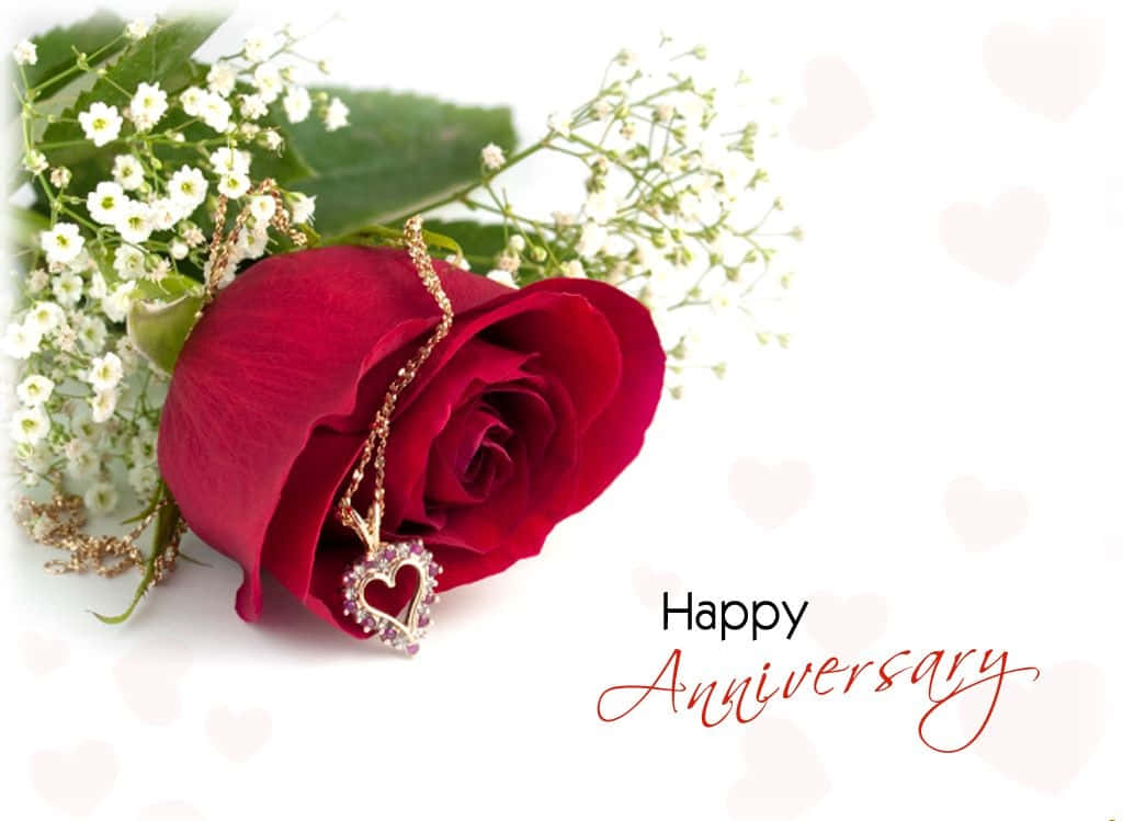 Anniversary, rose, heart-shaped necklace, SD Desktop Wallpaper