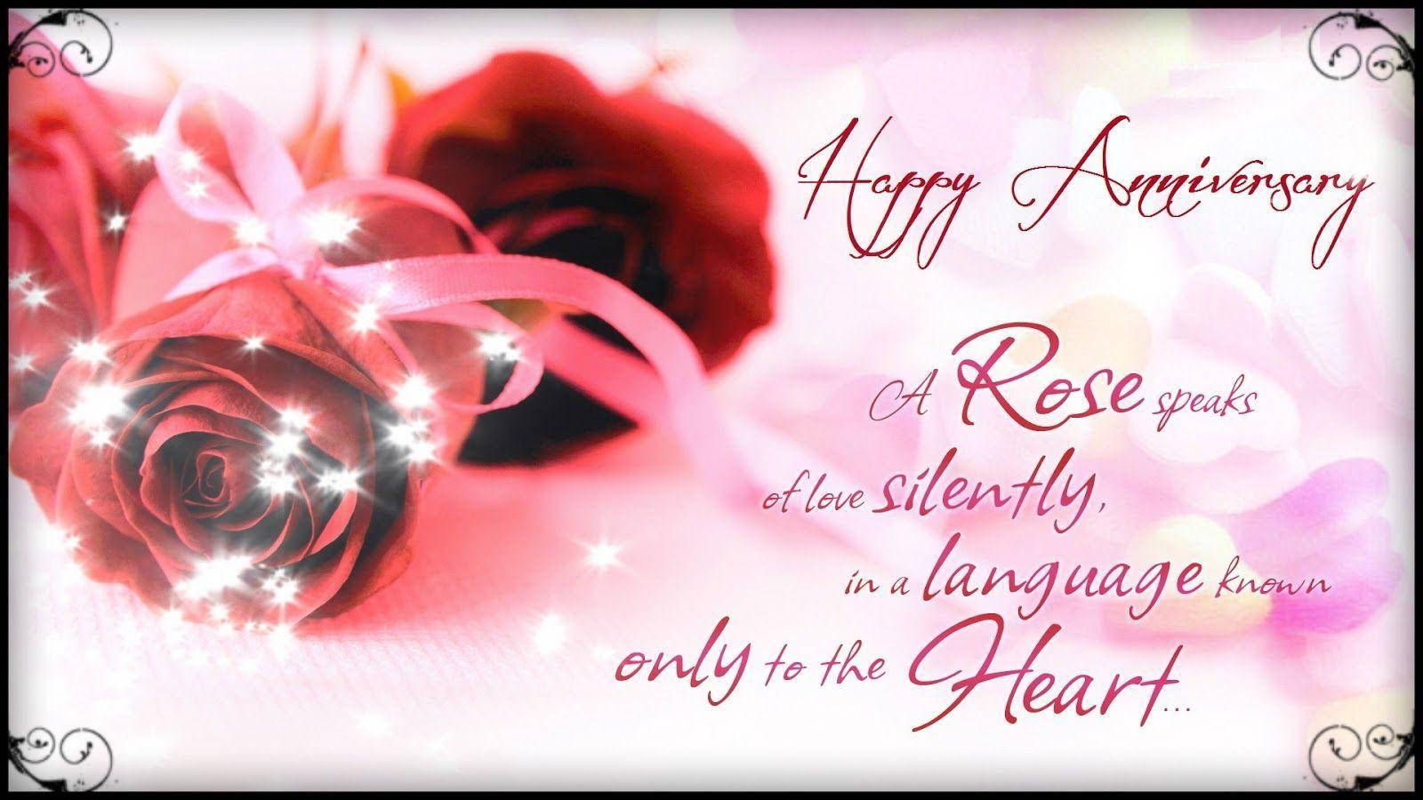 sparkling red roses, pink ribbon, soft pink background, HD Desktop Wallpaper