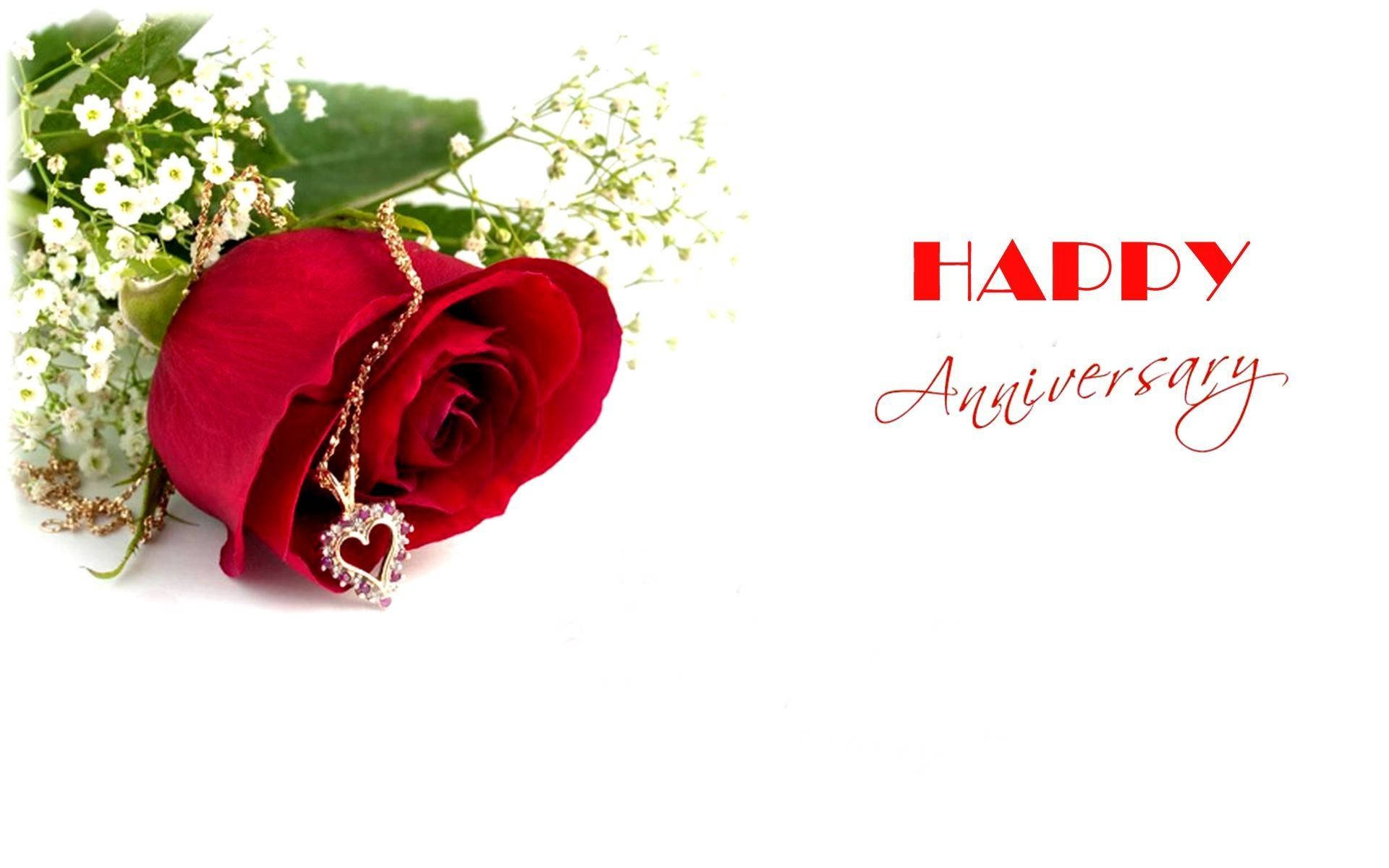 red rose, baby's breath, heart-shaped pendant necklace, Full HD Desktop Wallpaper