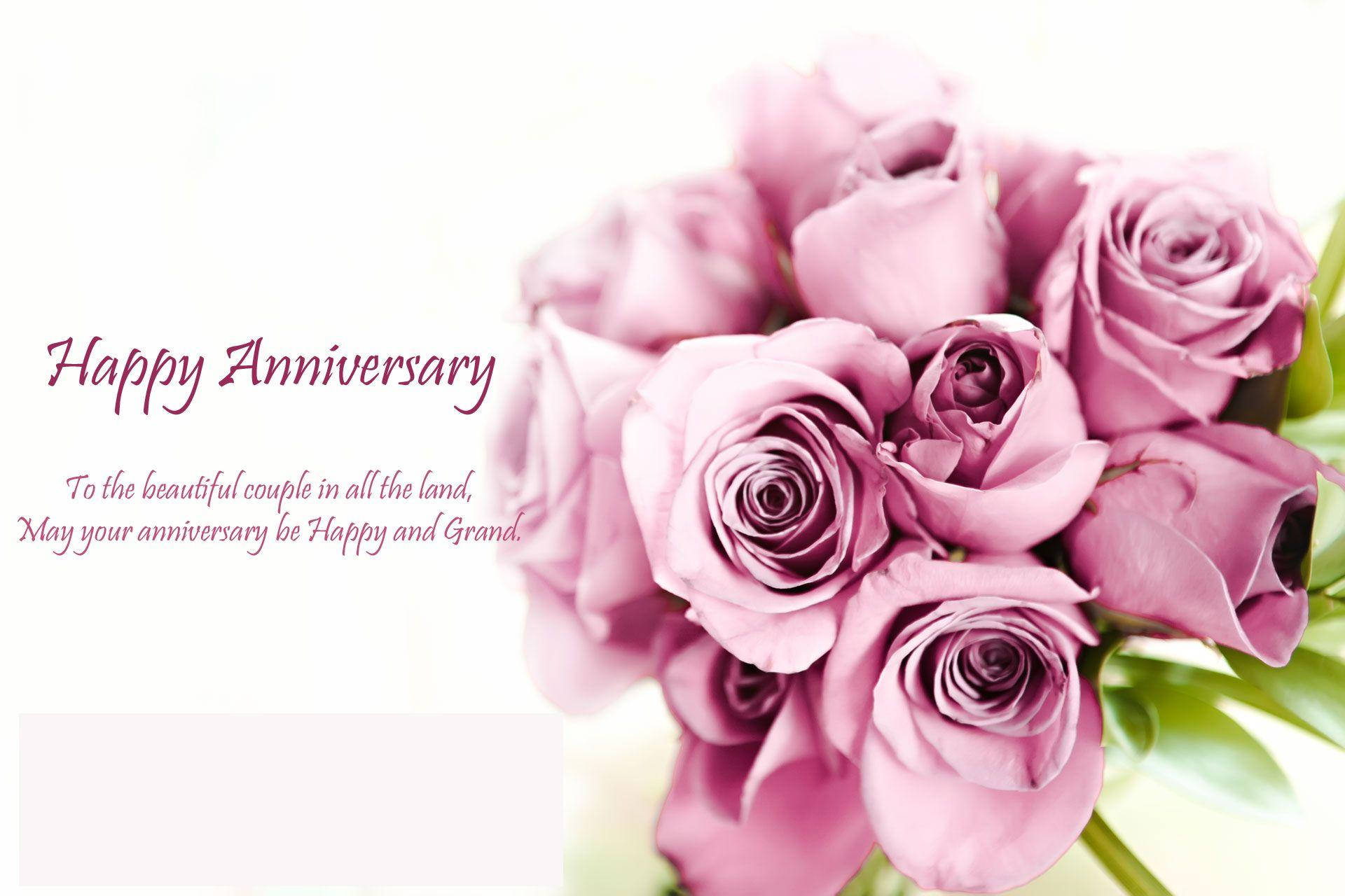 pink roses, elegant cursive anniversary text, bright white background, Full HD Desktop Wallpaper