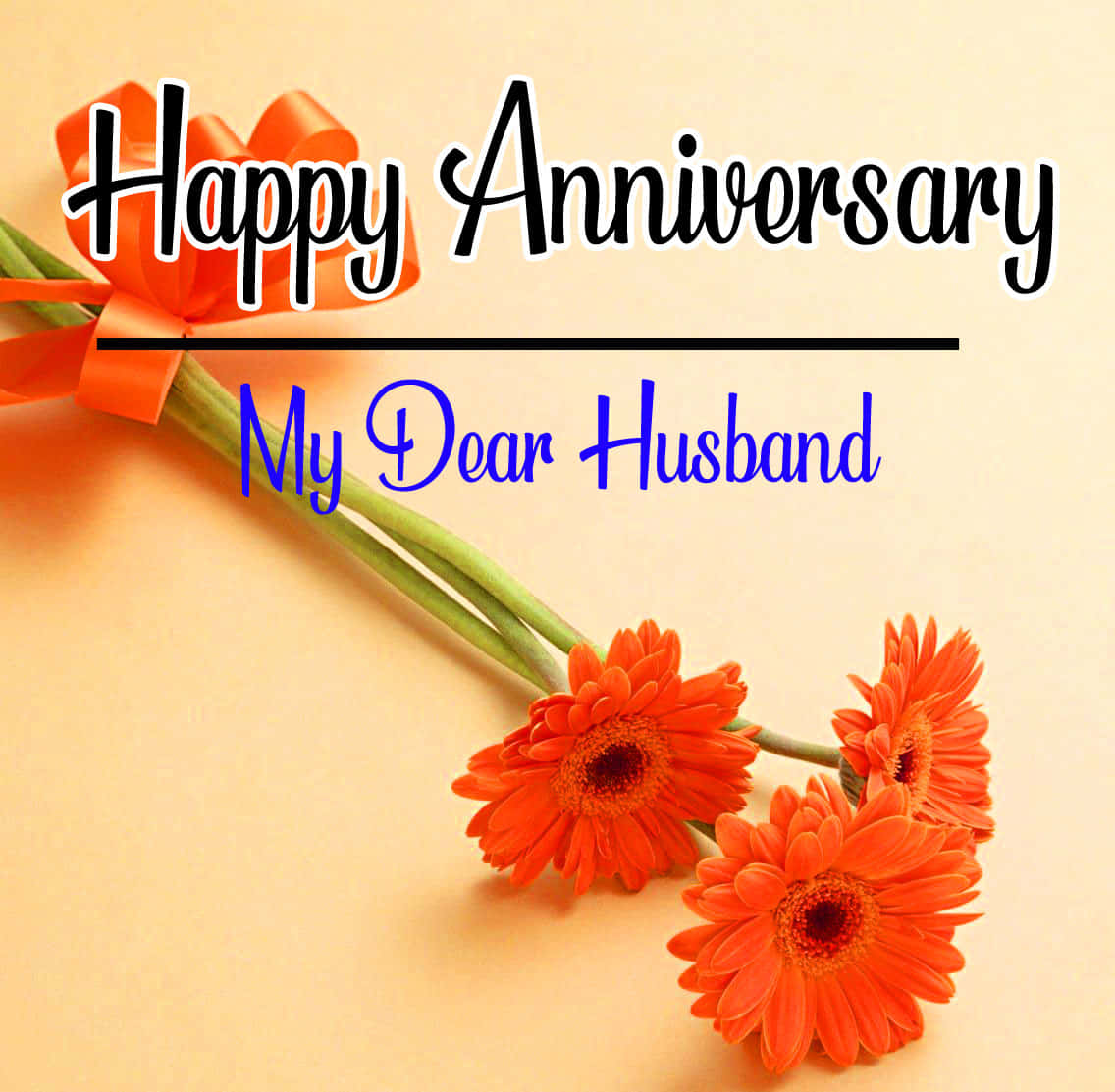 anniversary message to the husband, orange gerbera daisies, matching bow, SD Desktop Wallpaper