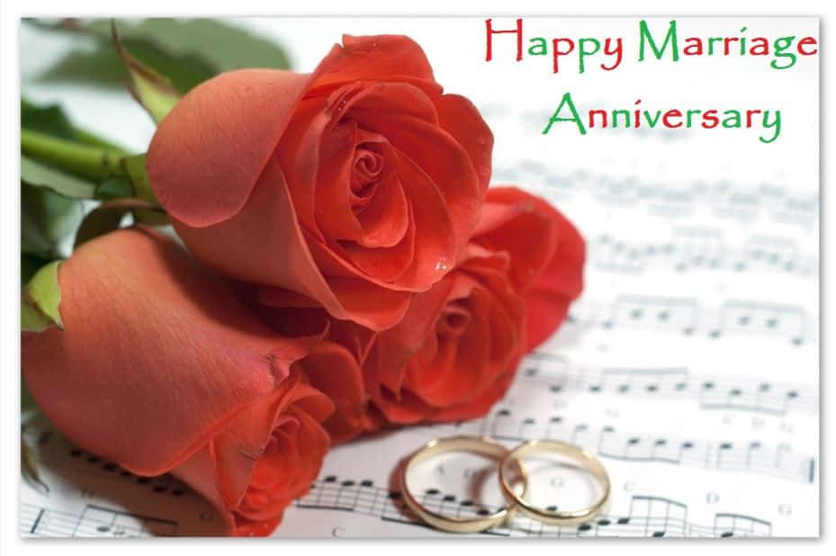 roses, wedding rings, gold wedding rings, SD Desktop Wallpaper