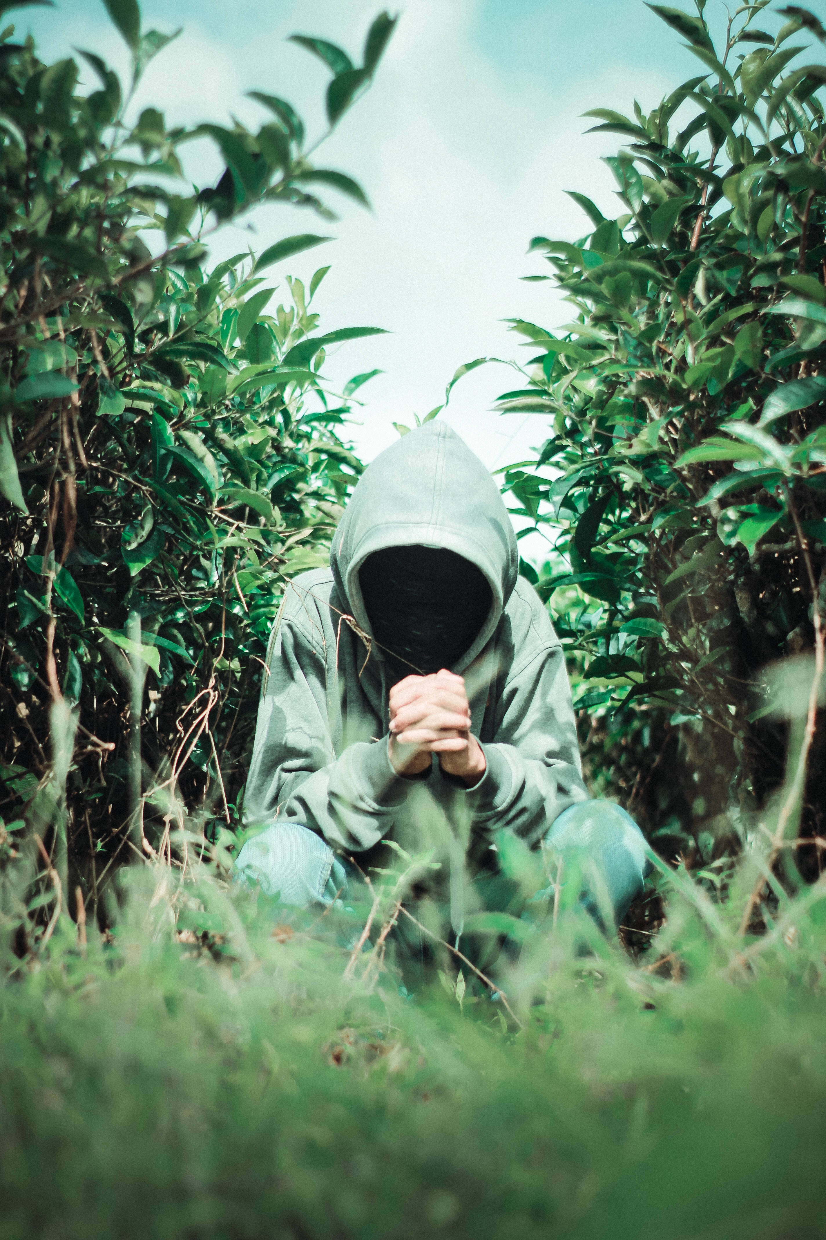 green anonymous hands clasped, gray hoodie, lush green bushes, 4K Phone Wallpaper