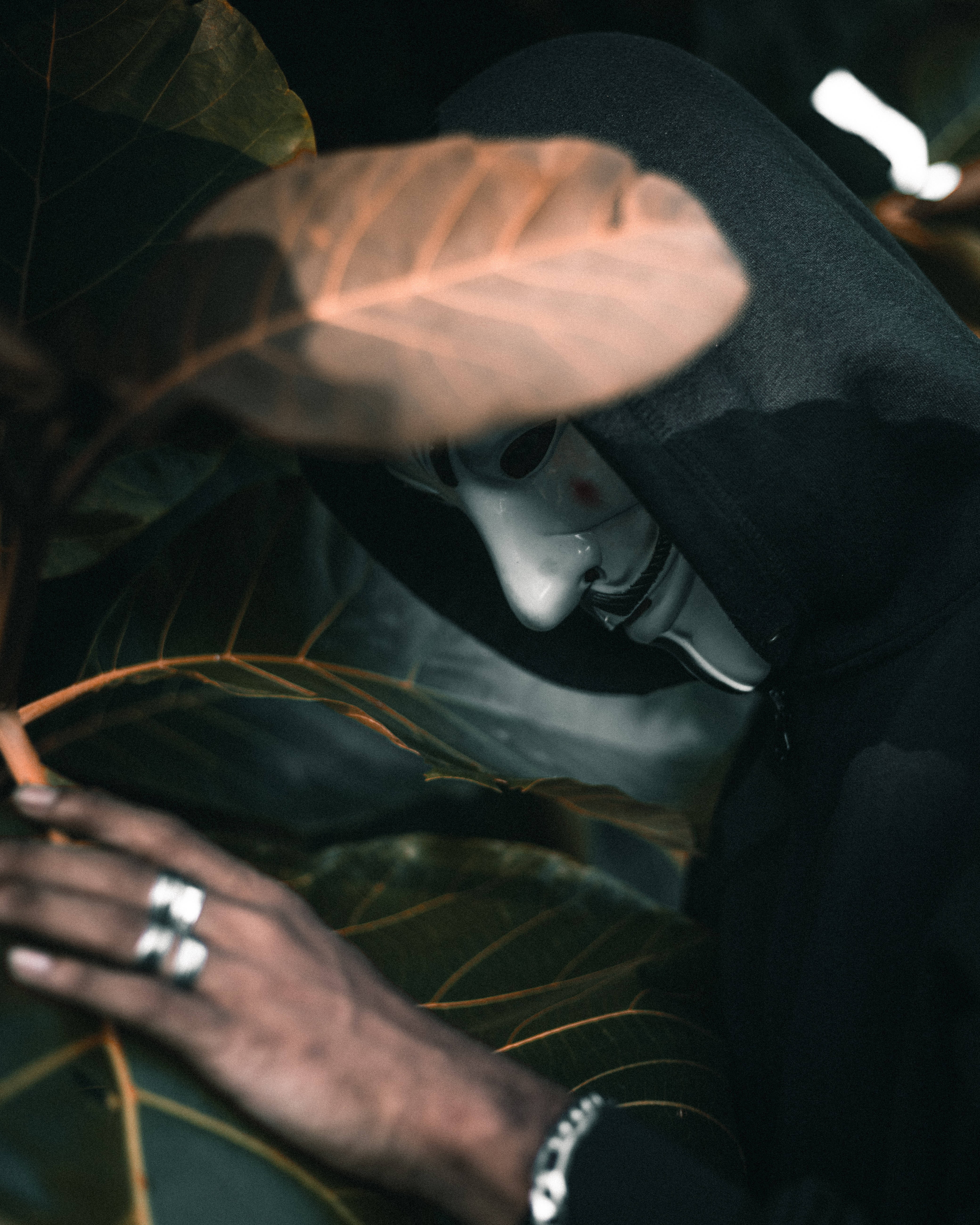 Anonymous, black hoodie, large leaves, 5K Phone Wallpaper