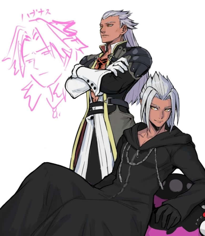 Ansem Seeker of Darkness, silver hair, black attire, SD Phone Wallpaper