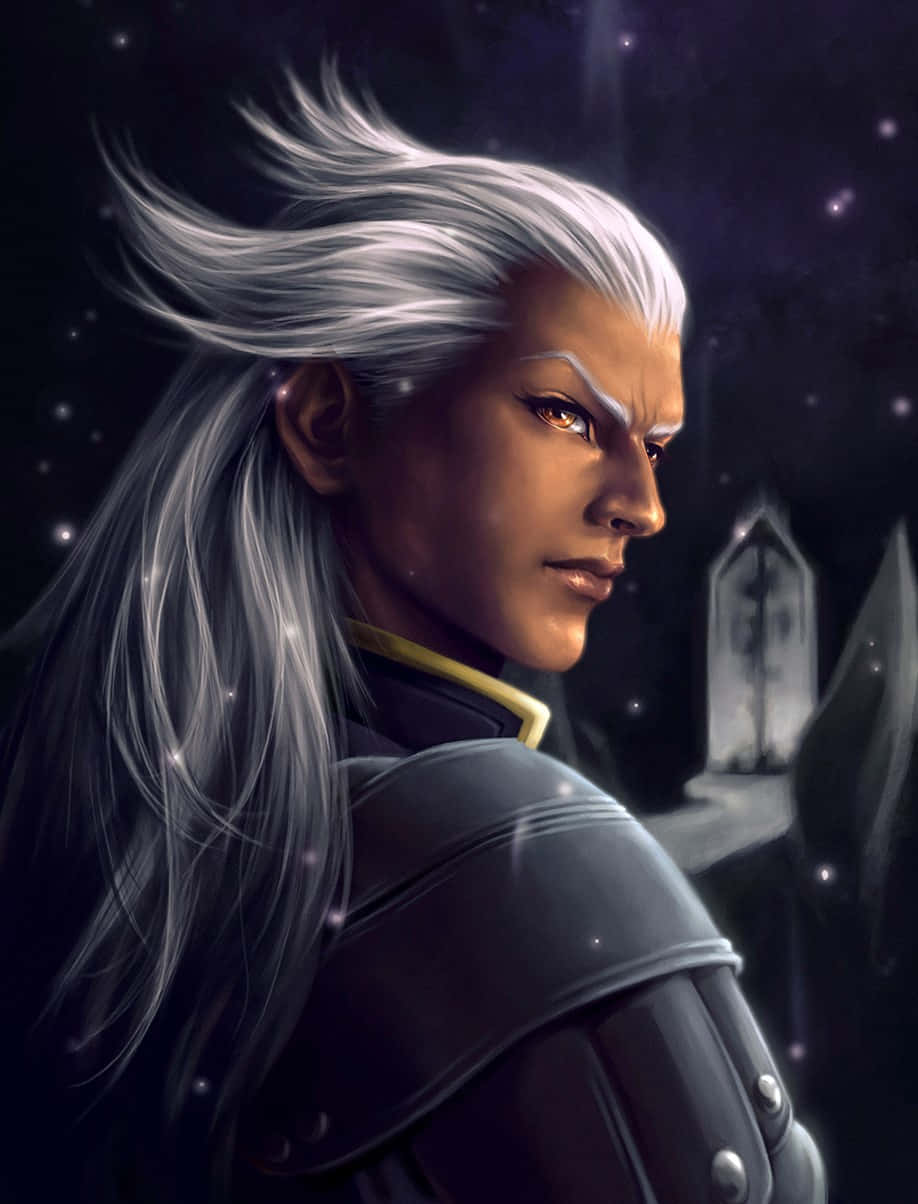 Ansem Seeker of Darkness, silver-haired warrior, dark armor, SD Phone Wallpaper