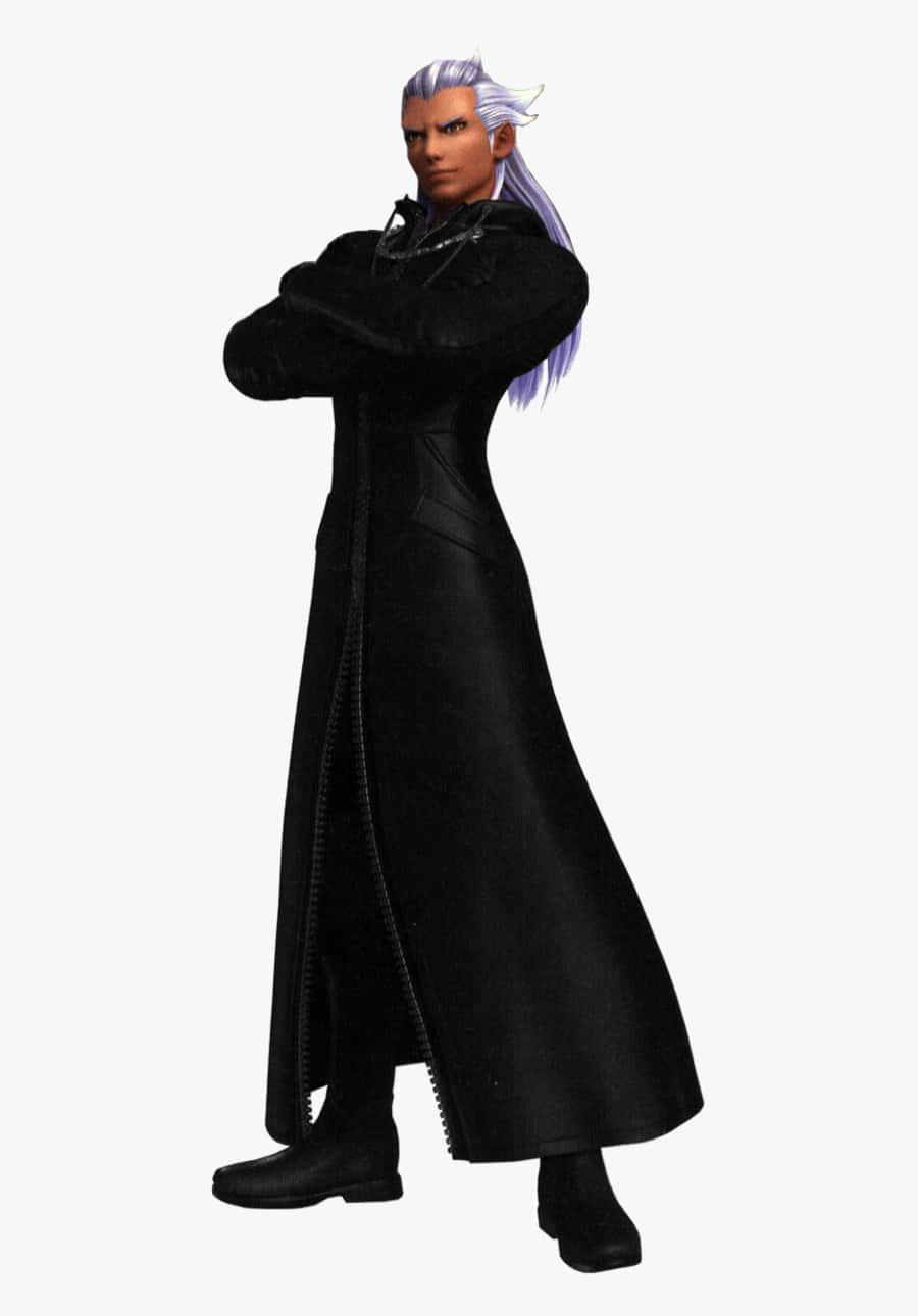 Ansem, Seeker of Darkness, silver hair, long black coat, HD Phone Wallpaper