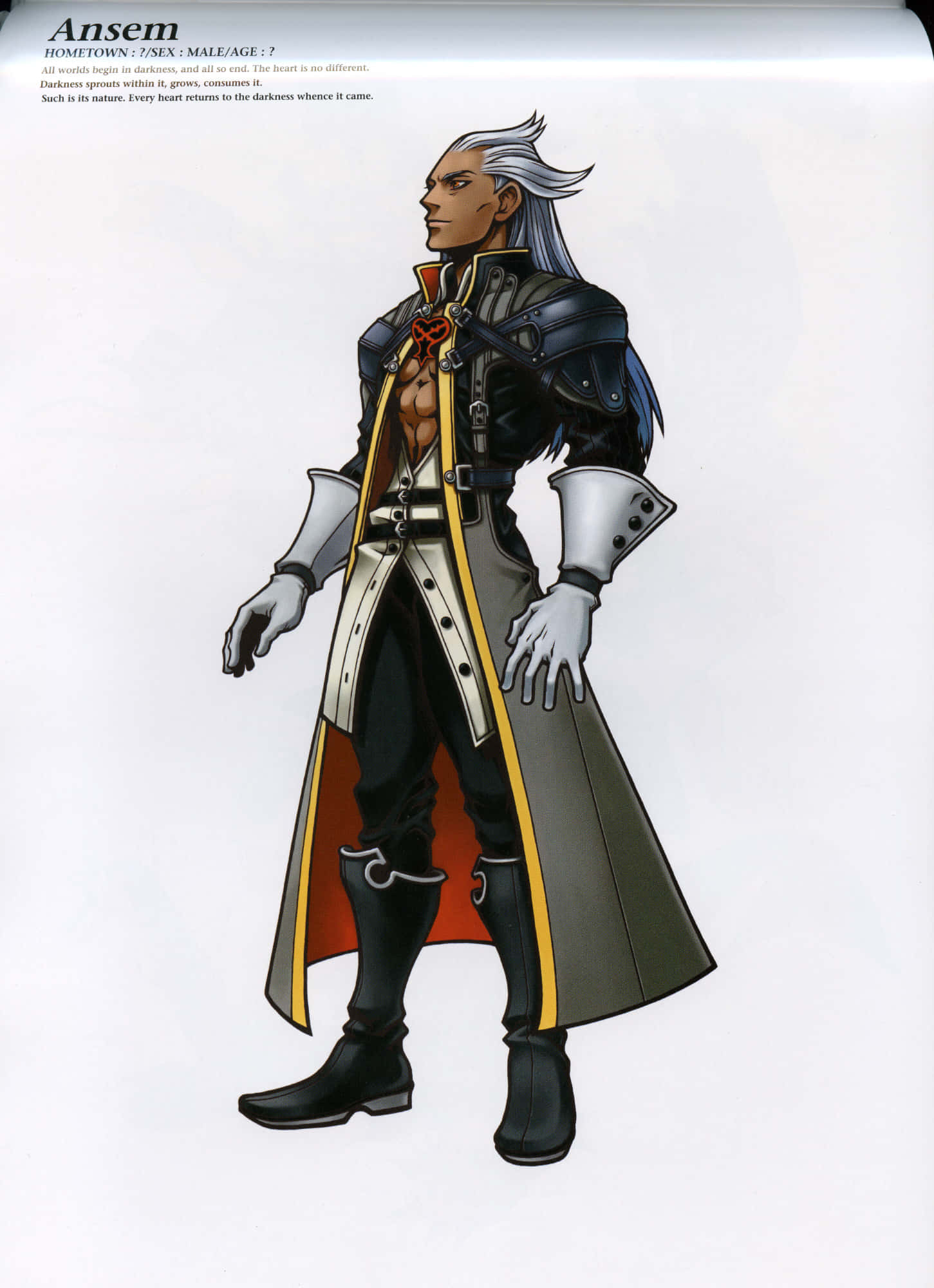 Ansem Seeker Of Darkness, silver-haired, dark armored coat, Full HD Phone Wallpaper