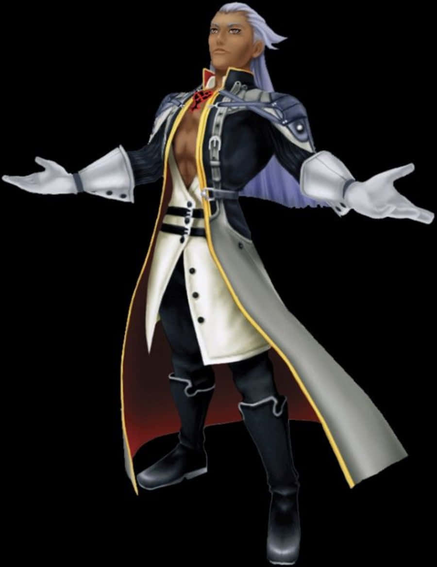 Ansem, Seeker of Darkness, silver hair, dramatic open coat, SD Phone Wallpaper