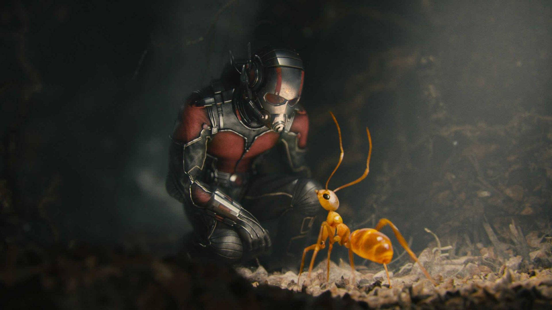 Ant Man, giant glowing orange ant, red and silver armor, Full HD Desktop Wallpaper