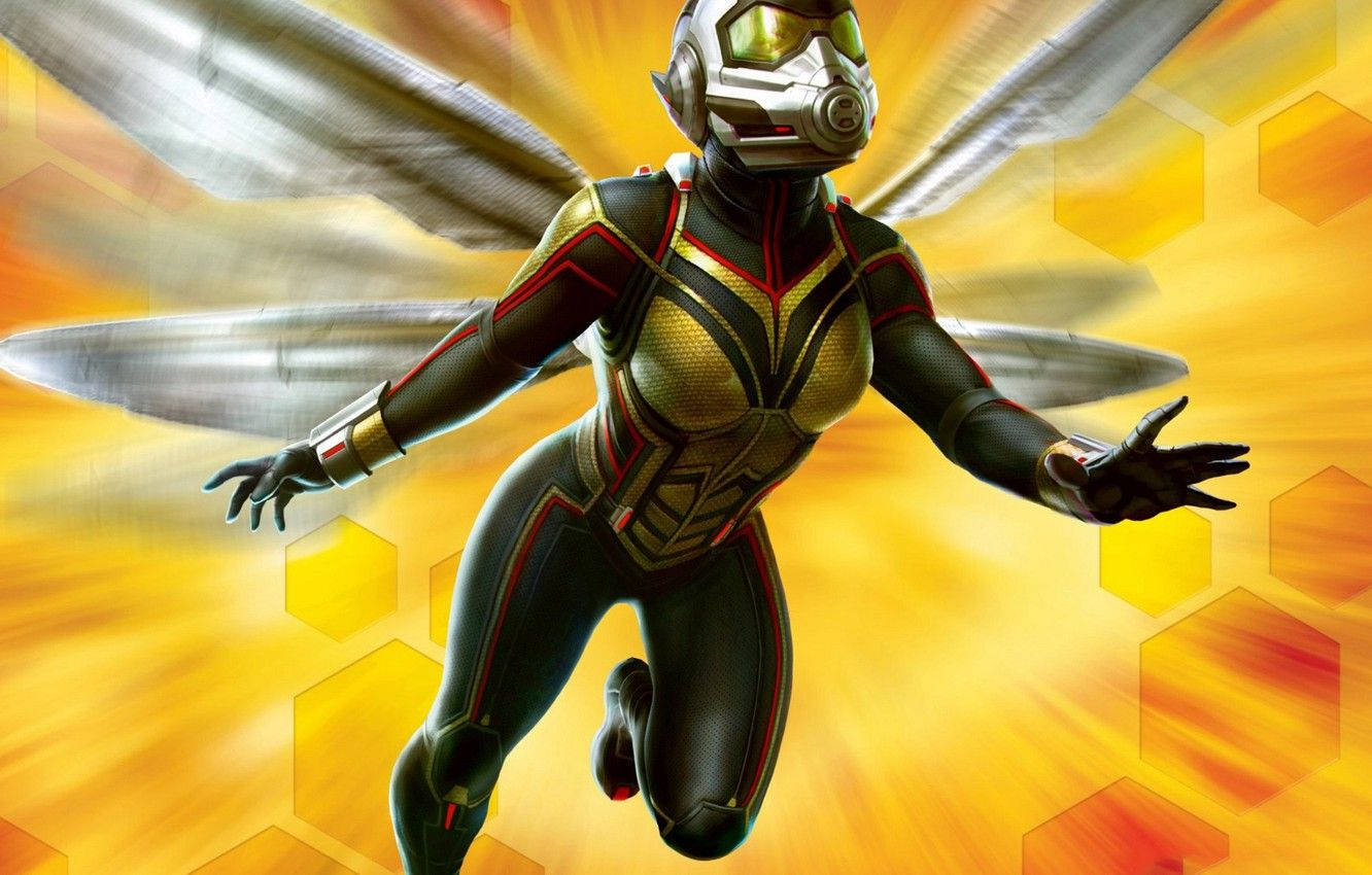 Ant Man, gold and black suit, translucent wings, HD Desktop Wallpaper
