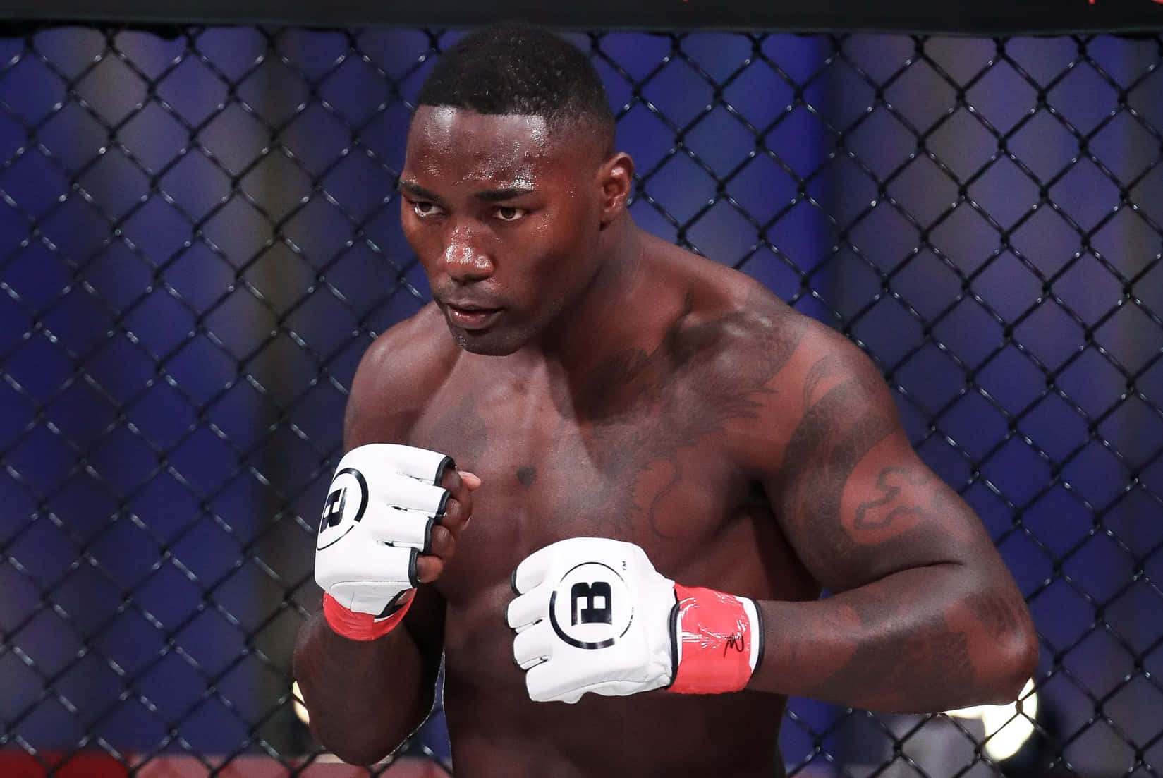 Anthony Johnson, 2021 Bellator Match, cage, HD Desktop Wallpaper