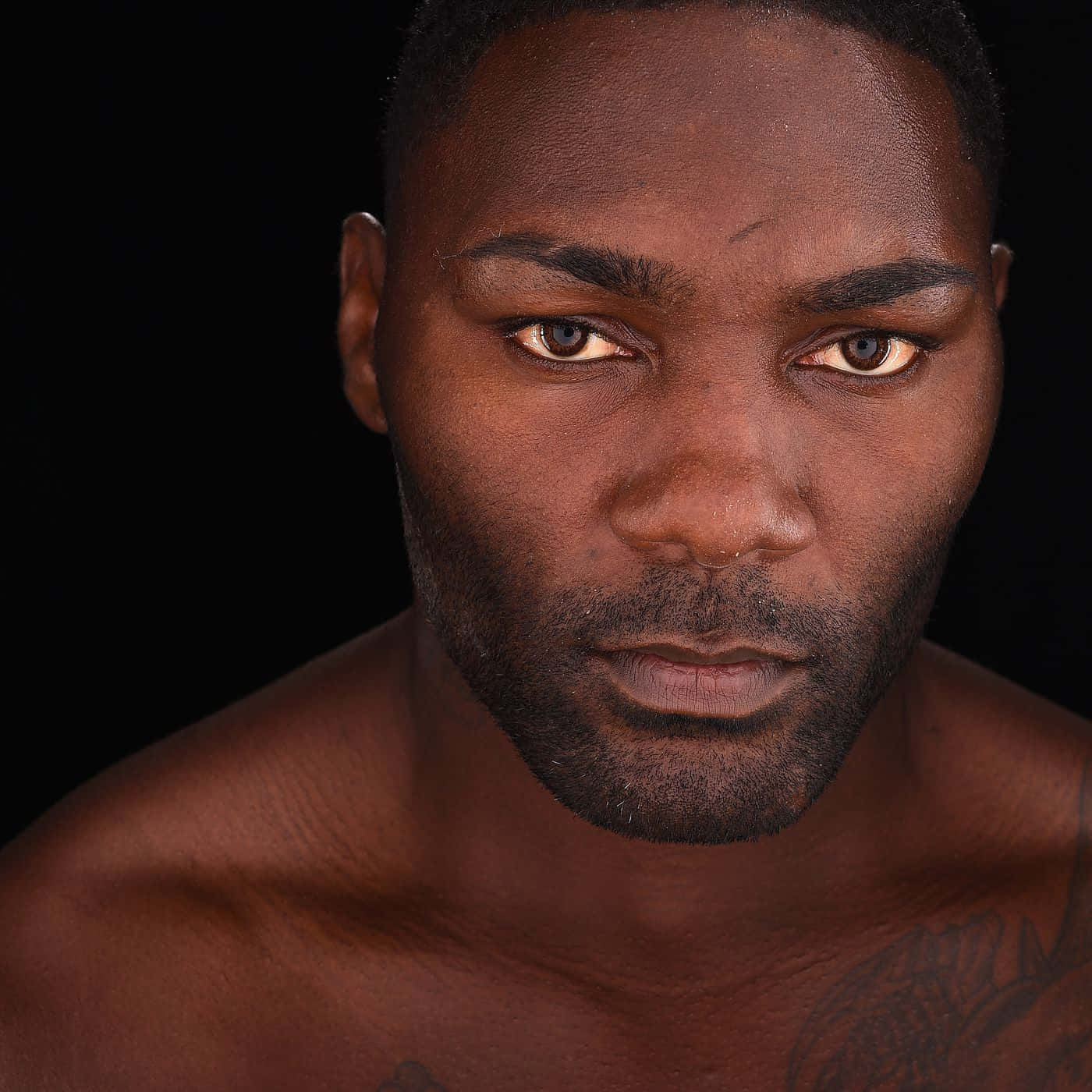 Anthony Johnson, American Mixed Martial Artist, 2015, HD Desktop Wallpaper