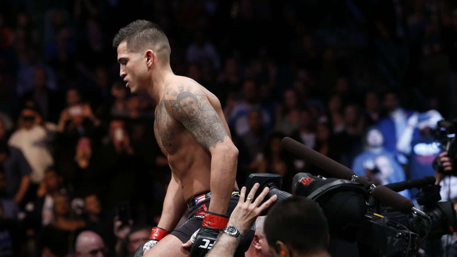 Anthony Pettis, lightweight champion, dimly lit arena, HD Desktop Wallpaper