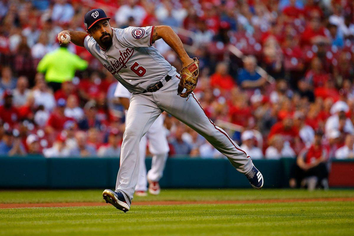 Anthony Rendon, gray uniform, sunlit field, SD Desktop Wallpaper