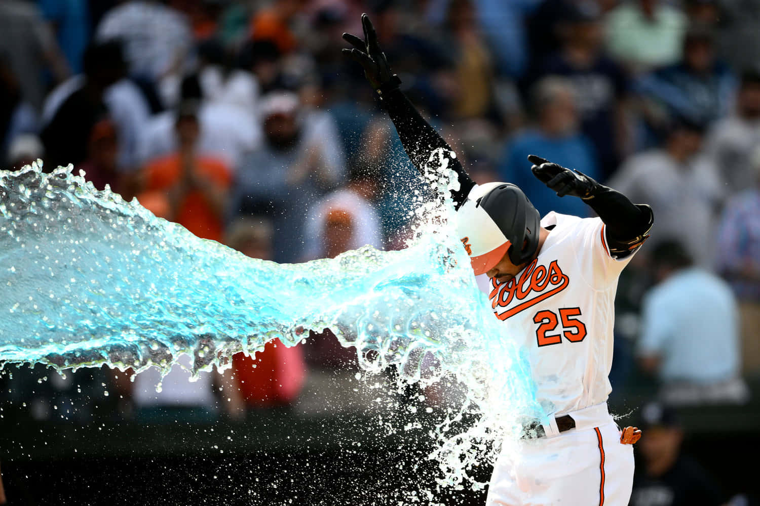 Anthony Santander, number 25, white uniform, HD Desktop Wallpaper