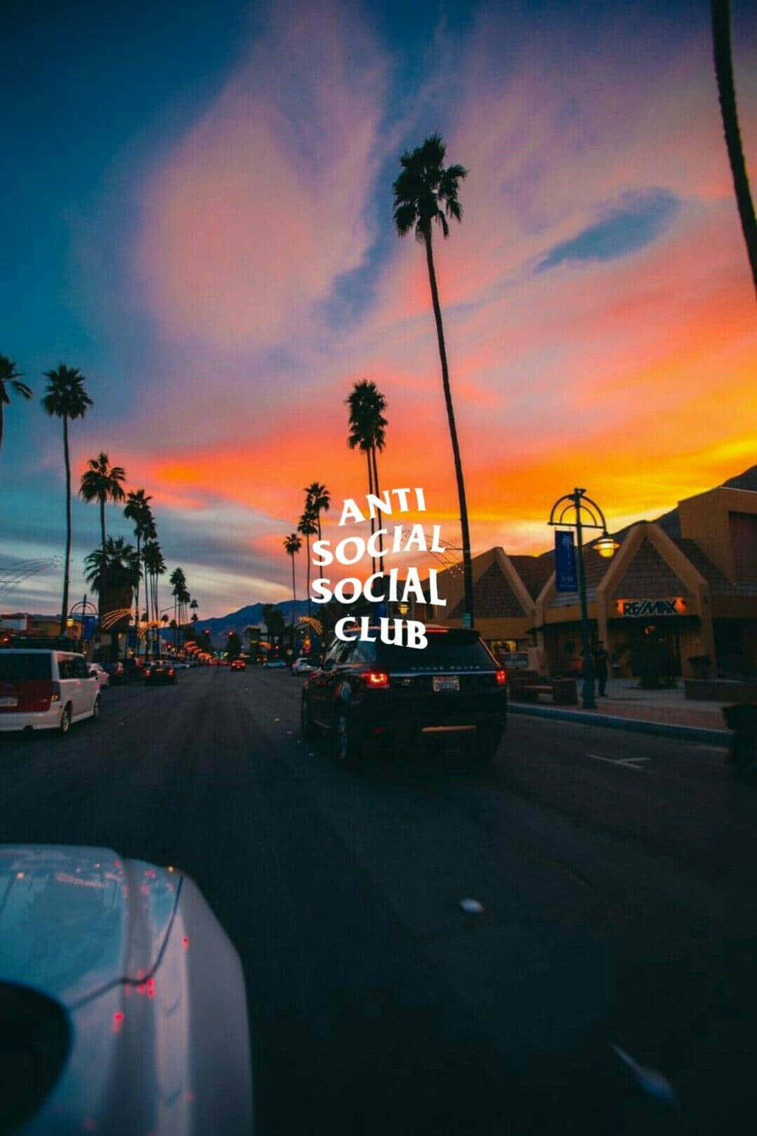 Anti Social Club iPhone, City Sunset, palm-lined street, HD Phone Wallpaper