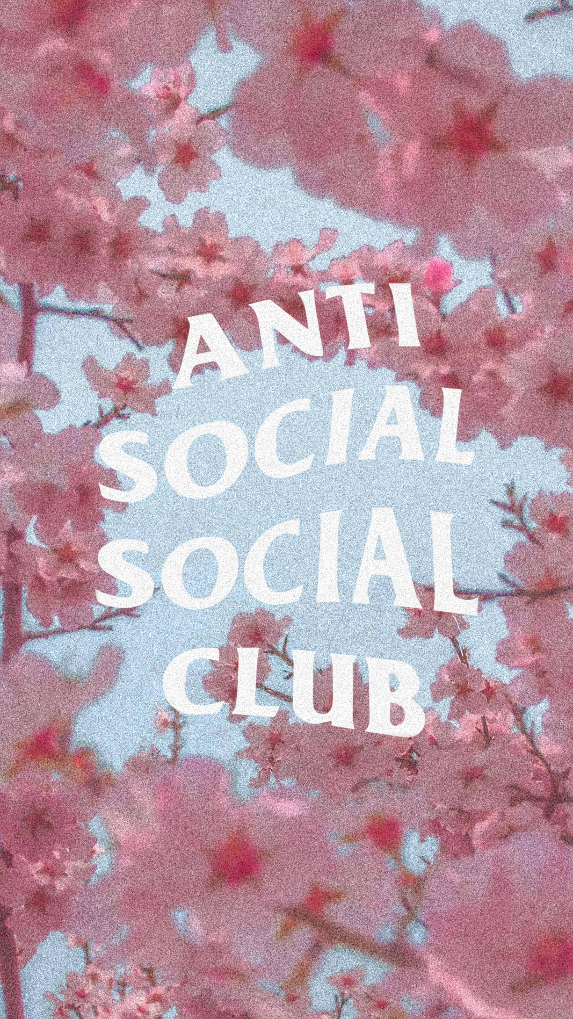 Anti Social Social Club, iPhone, pink cherry blossoms, 4K Phone Wallpaper