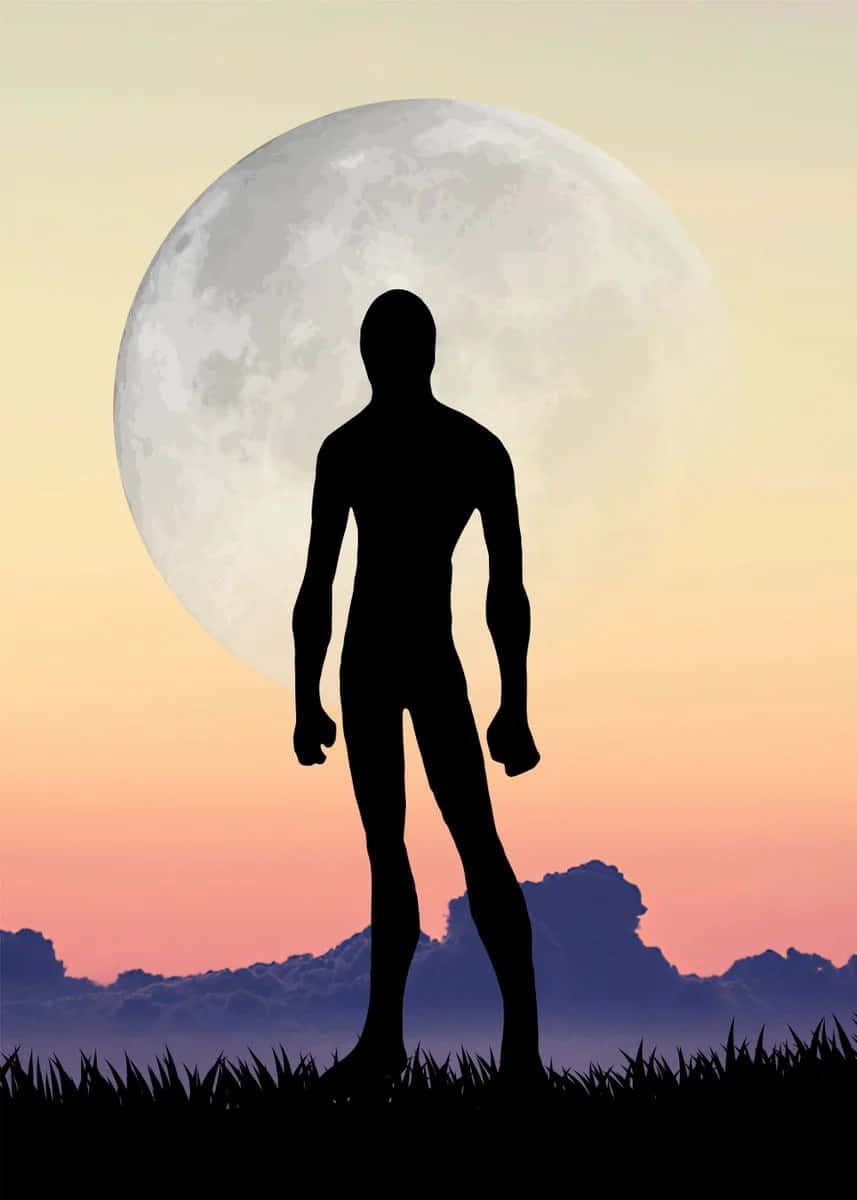 Anti Spiral, full moon, twilight sky, SD Phone Wallpaper