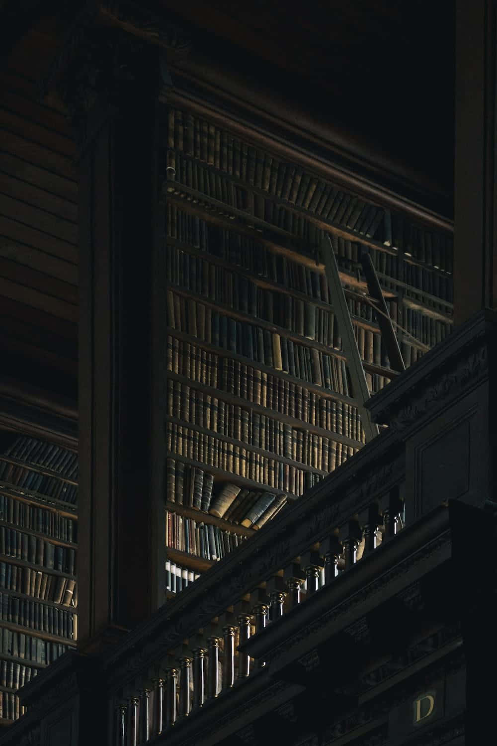 old money library aesthetic, dimly lit grand library, towering wooden bookshelves, HD Phone Wallpaper