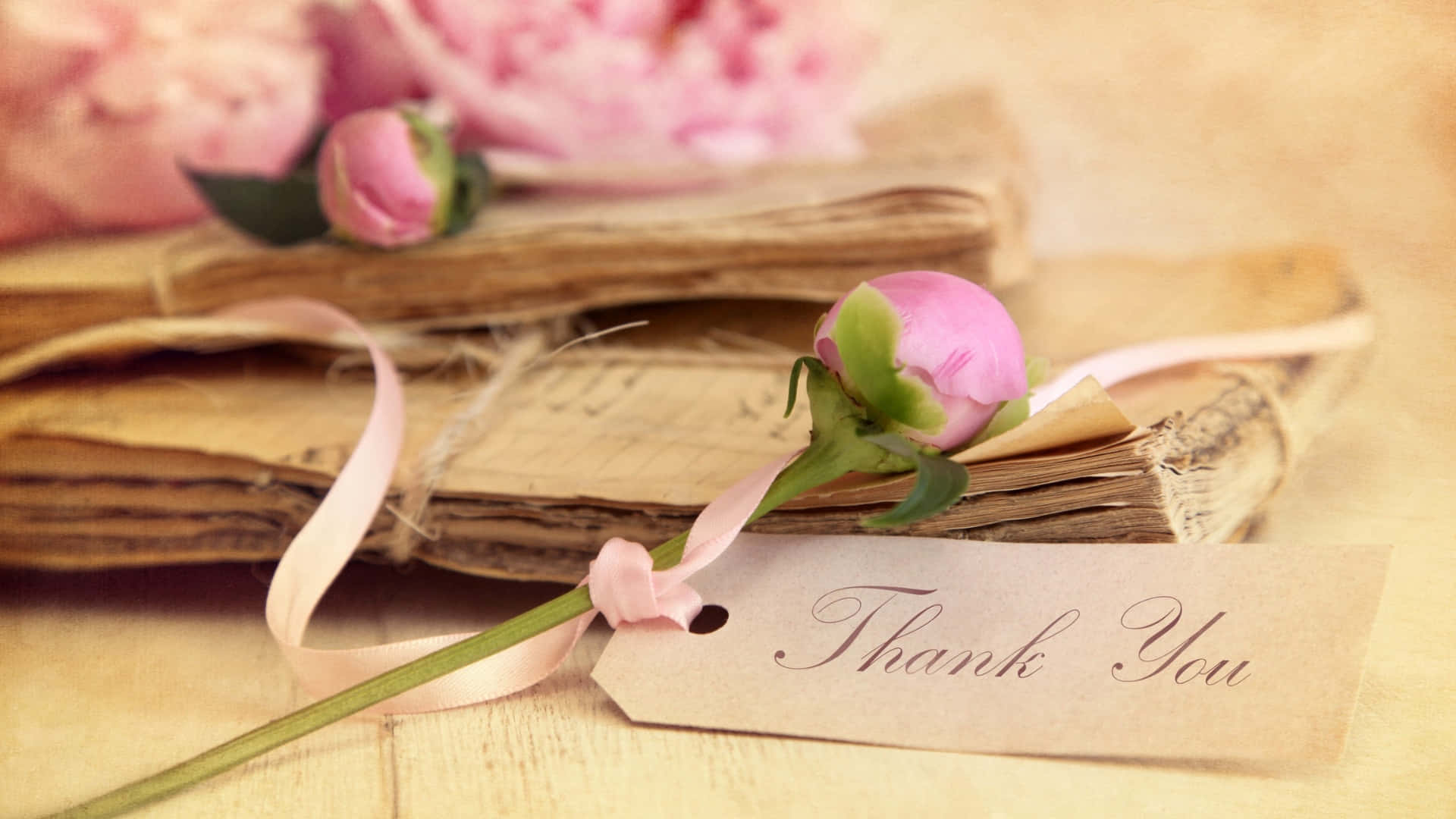pink peony bud, ribbon, old book, Full HD Desktop Wallpaper