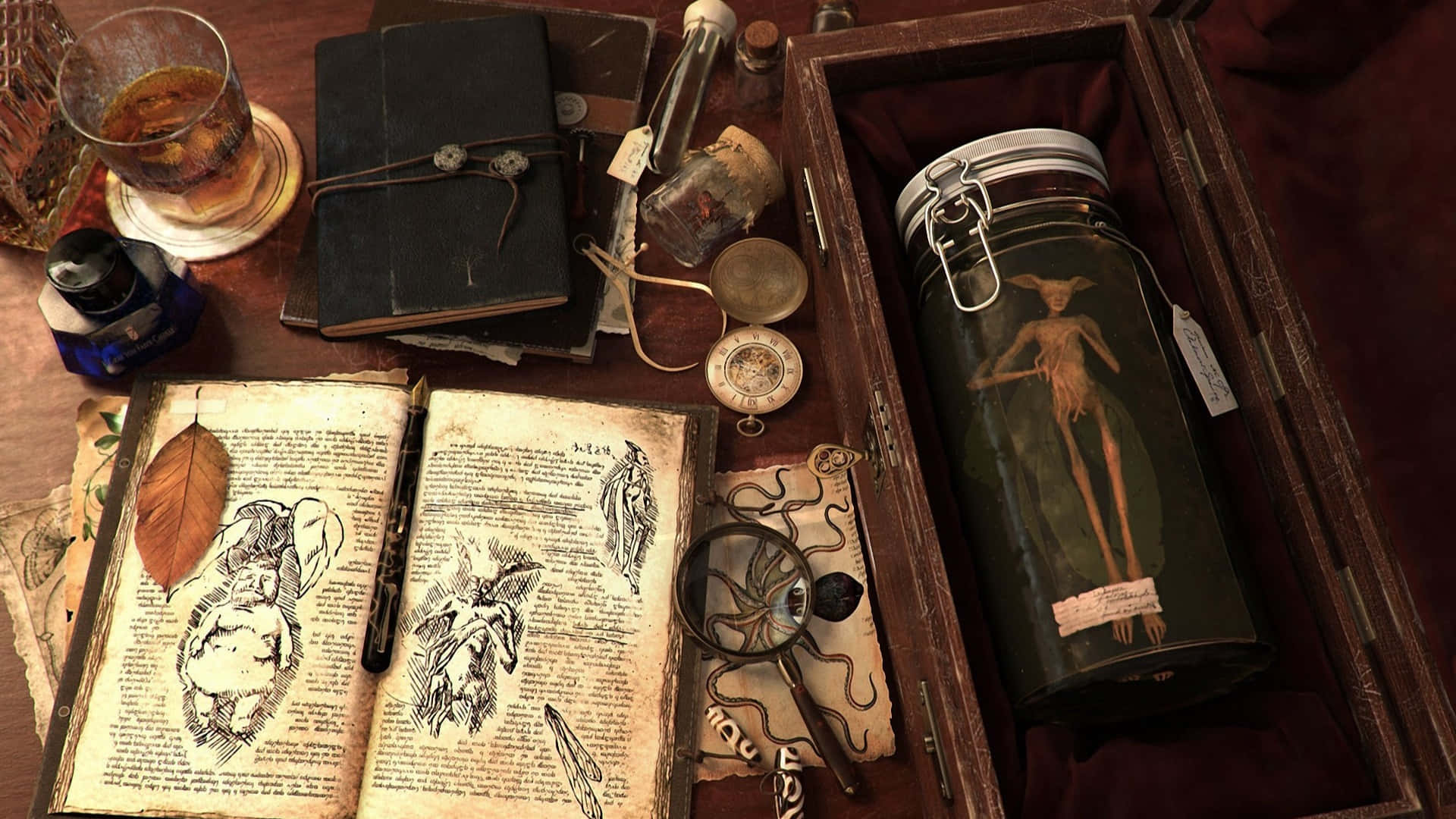 antique book, detailed sketches, jar containing a preserved small creature, Full HD Desktop Wallpaper