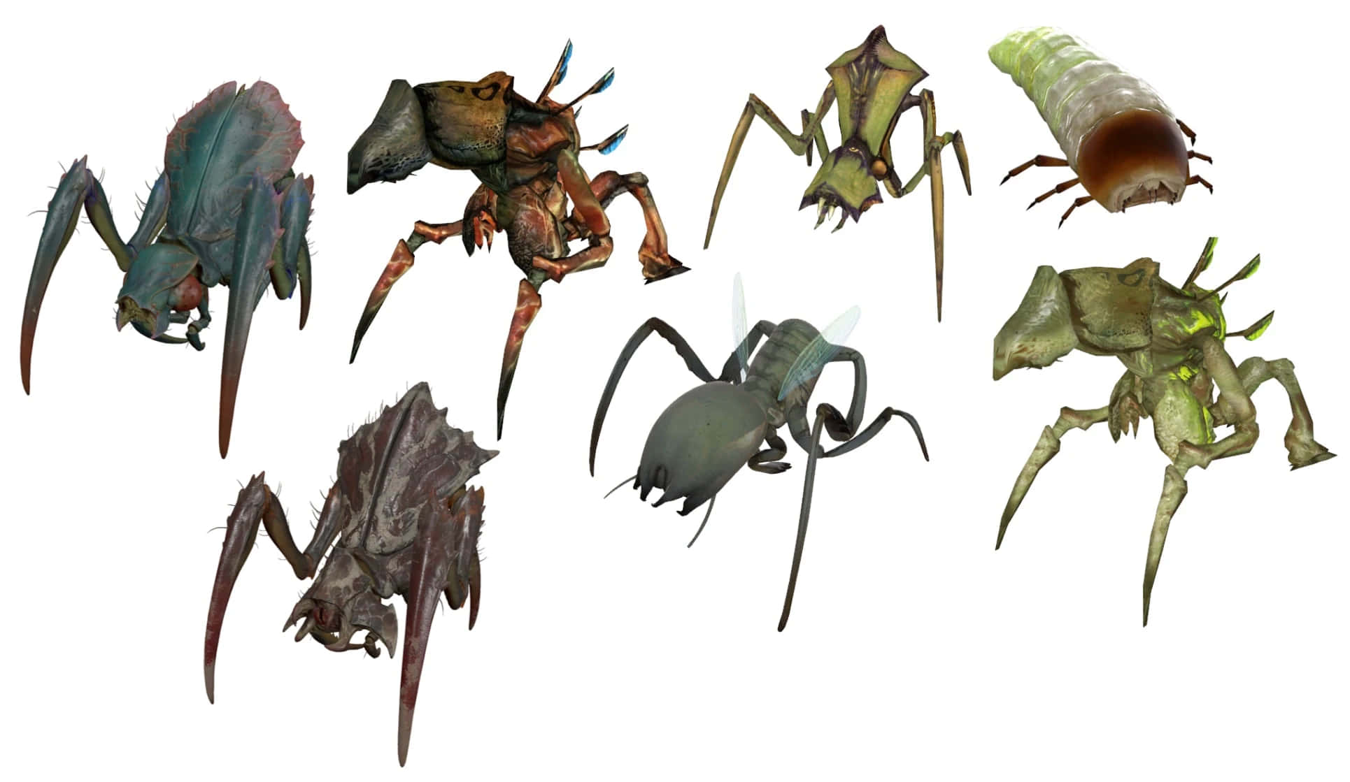 Antlion, fantasy arthropods, spiders, Full HD Desktop Wallpaper